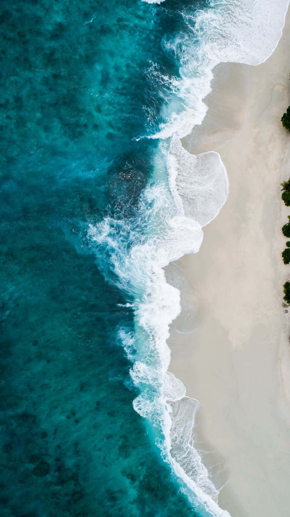 沉浸於夏日之美 壁紙 — 從高空俯瞰，碧綠色的海浪拍打著純淨的白色沙灘，沿岸綠樹成蔭。