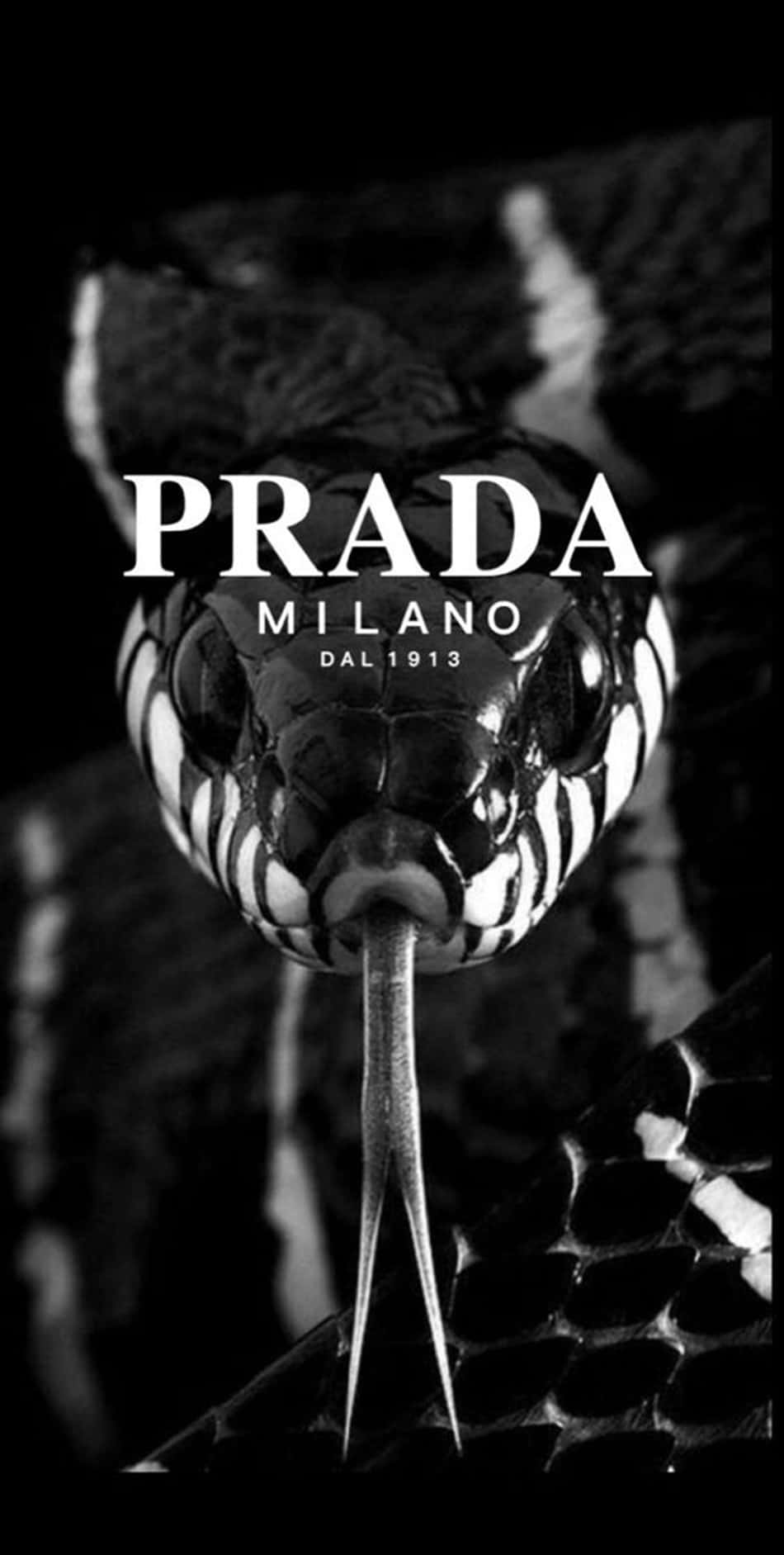 蛇頭特寫，帶有Prada Milano文字疊加。