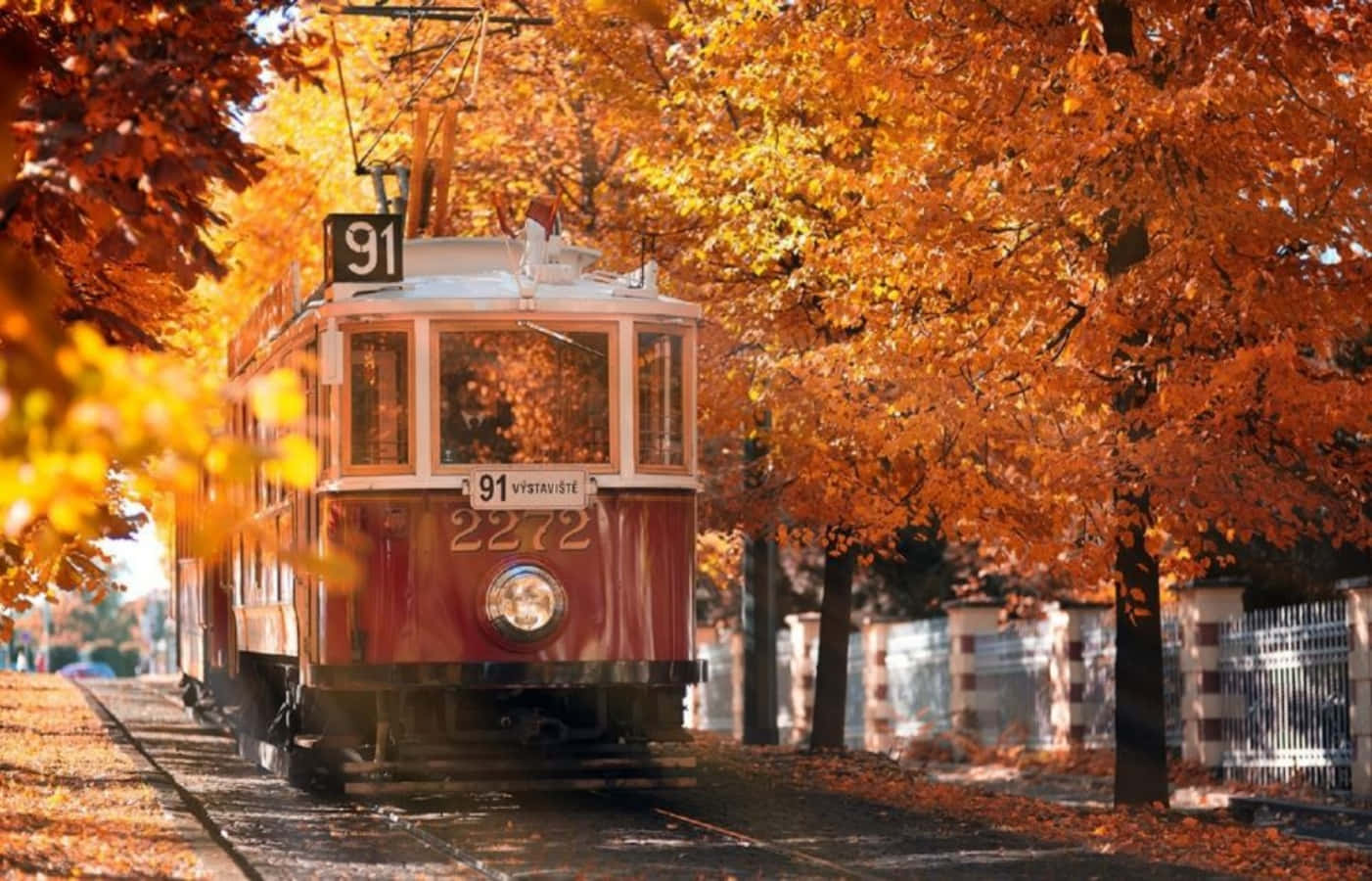 沉浸於秋日色彩 壁紙 — 一輛復古紅色電車在陽光明媚的日子裡，滑行穿過一條由火橙色秋樹組成的隧道。