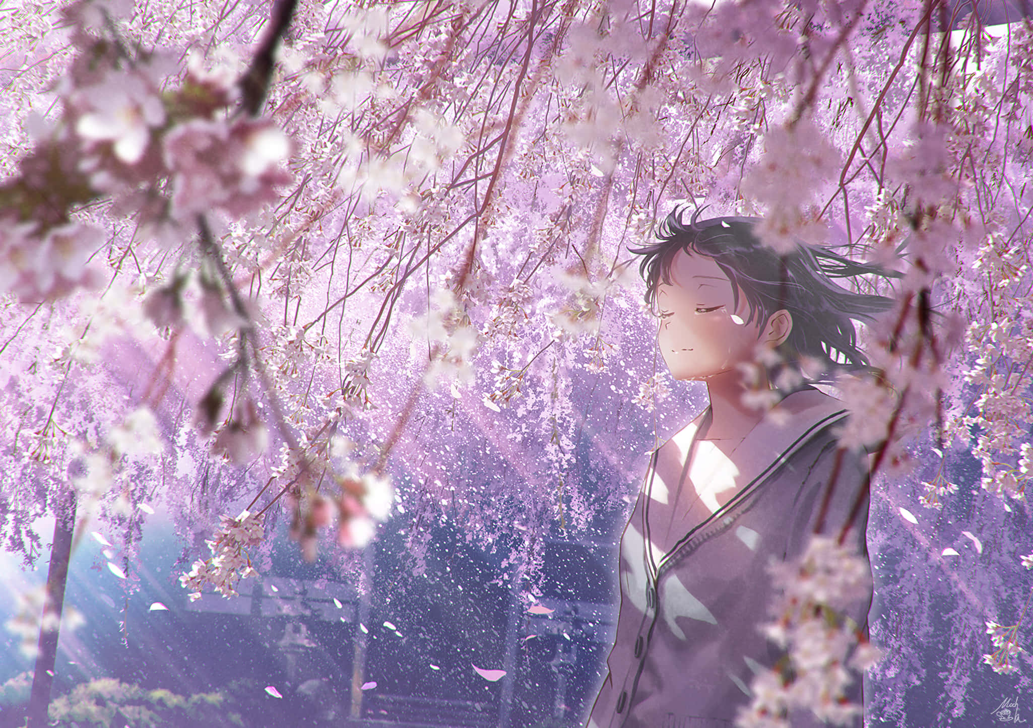 沉浸遊戲世界，選擇 Sakura PC 壁紙 — 一位年輕的動漫女孩靜靜地站在飄落的粉紅色櫻花樹冠下，沐浴在柔和的紫色光線中。