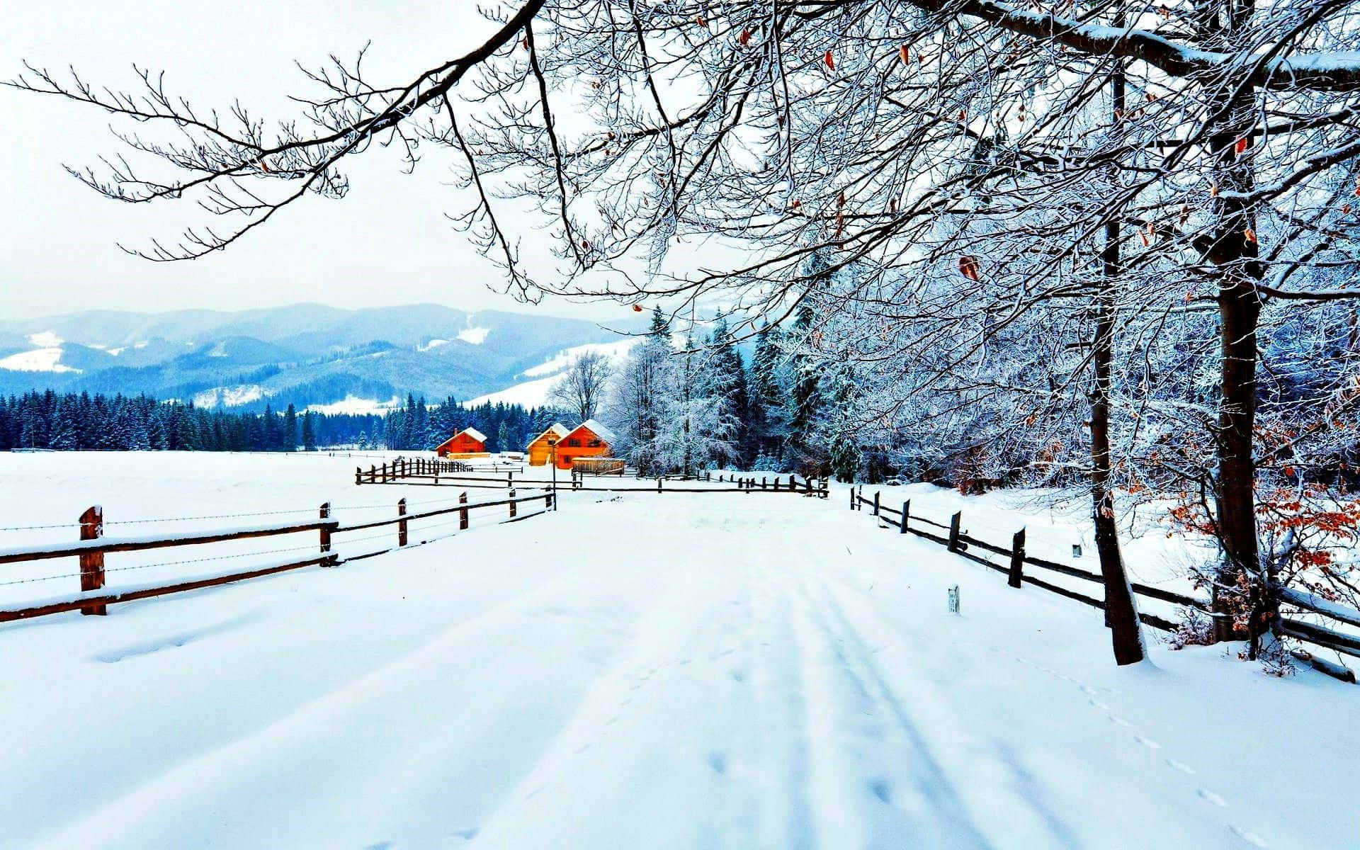 雪徑通往冬季森林中的小屋，背後有山脈。