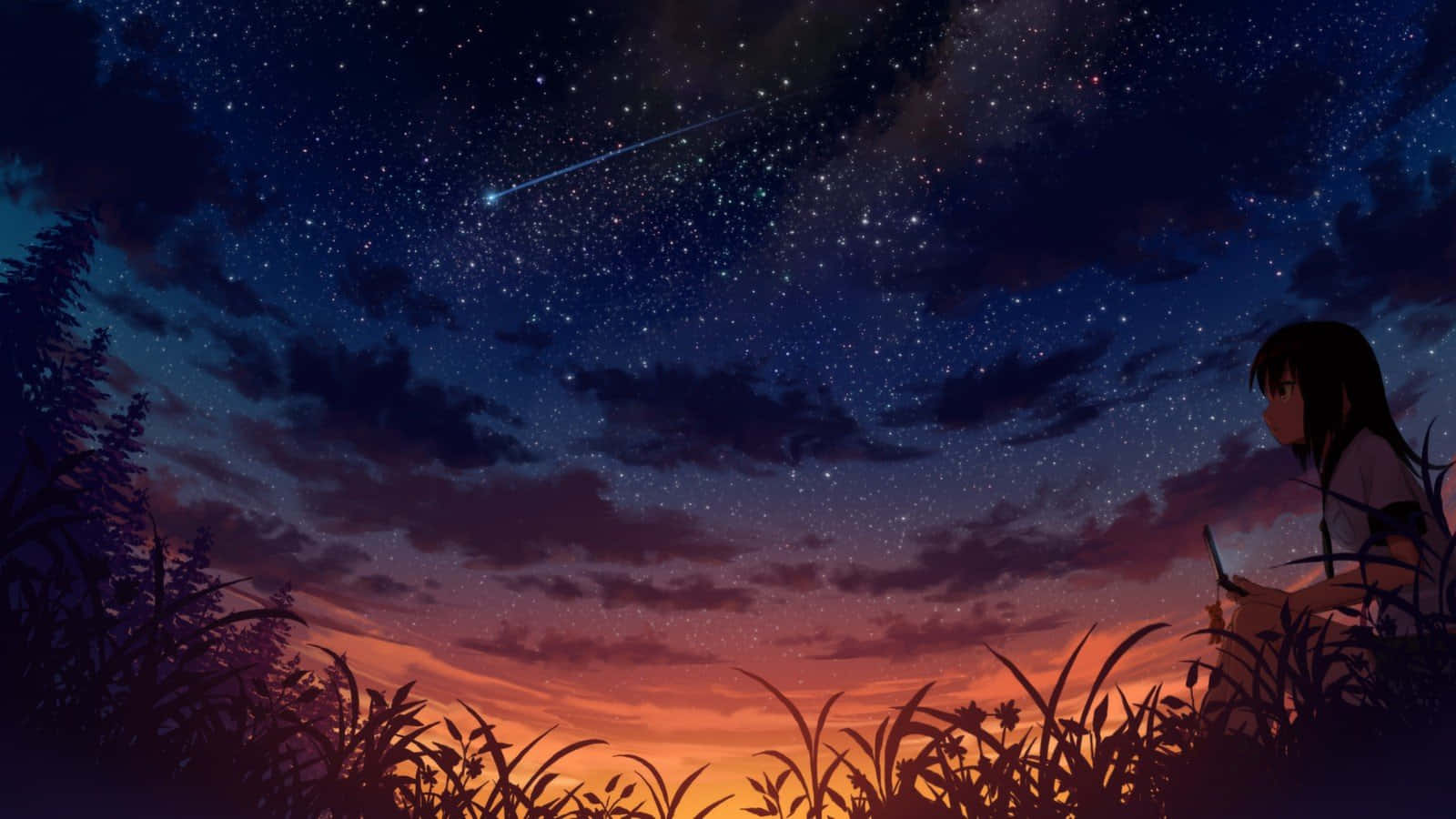 動漫女孩喺暮色天空中觀看流星，伴隨草嘅剪影。