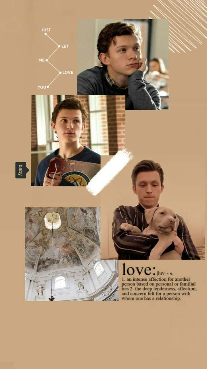 湯姆·霍蘭德抱著小狗，拼貼畫中帶有愛情主題文字。