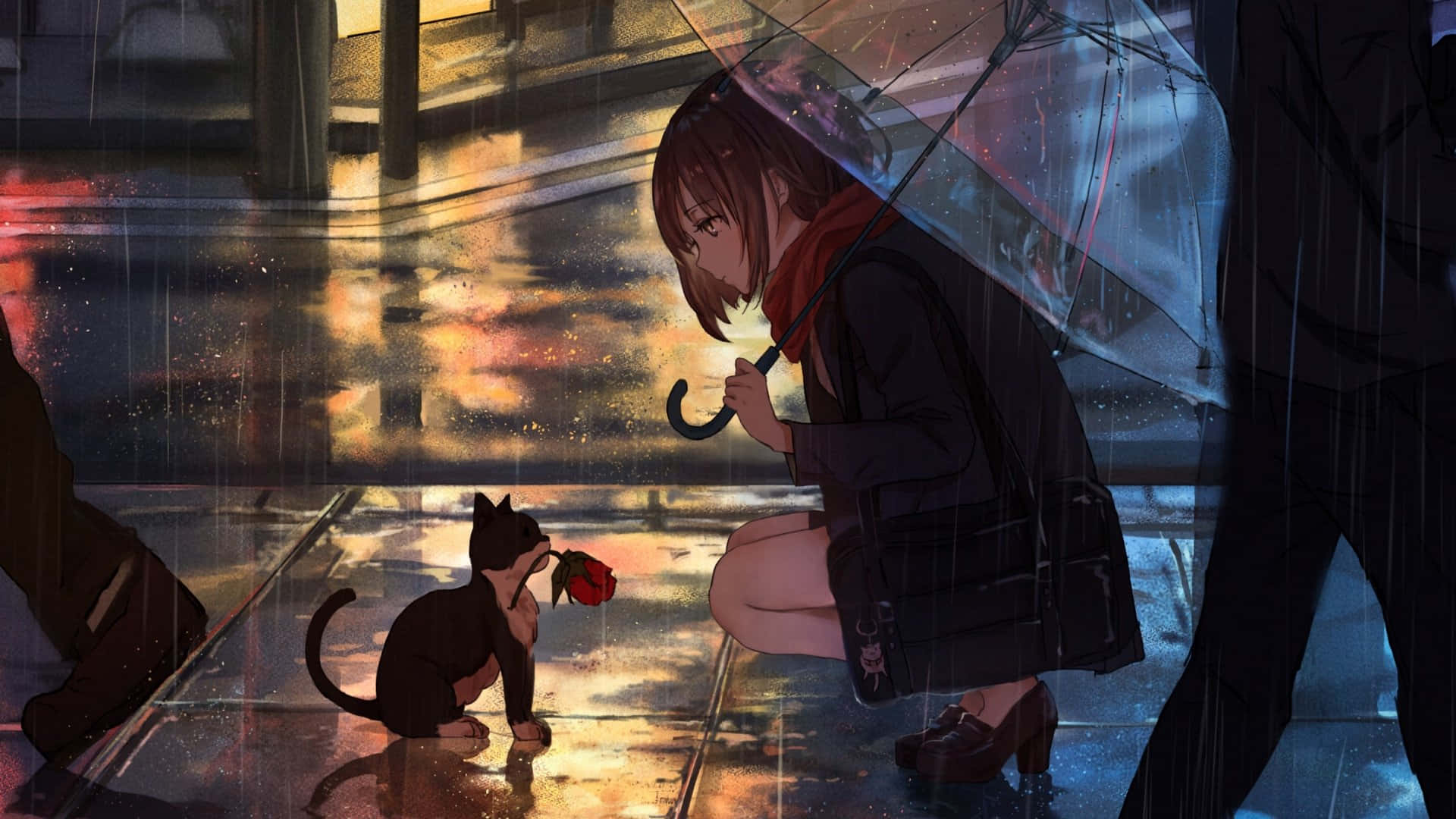 撐傘的女孩跪在雨中，從貓咪手中接過玫瑰。