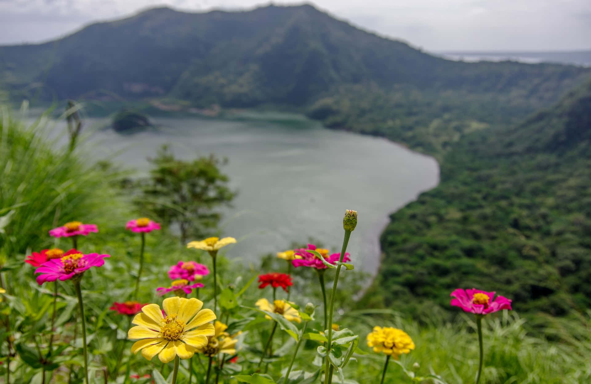 色彩繽紛的野花框住了寧靜的火山湖景觀，周圍環繞著鬱鬱蔥蔥的綠色山丘。