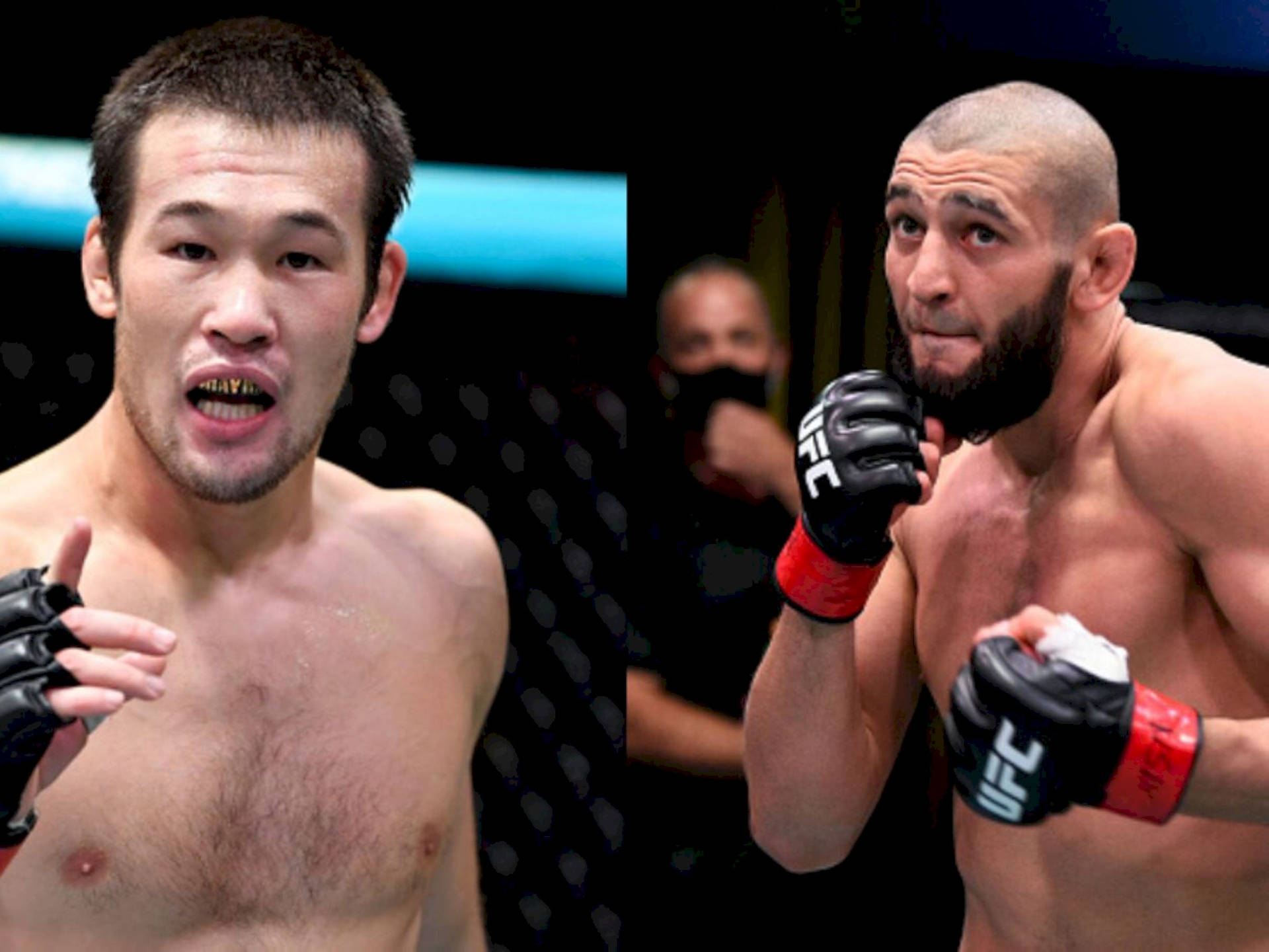 兩名男性MMA拳手在八角籠內擺出戰鬥姿勢。