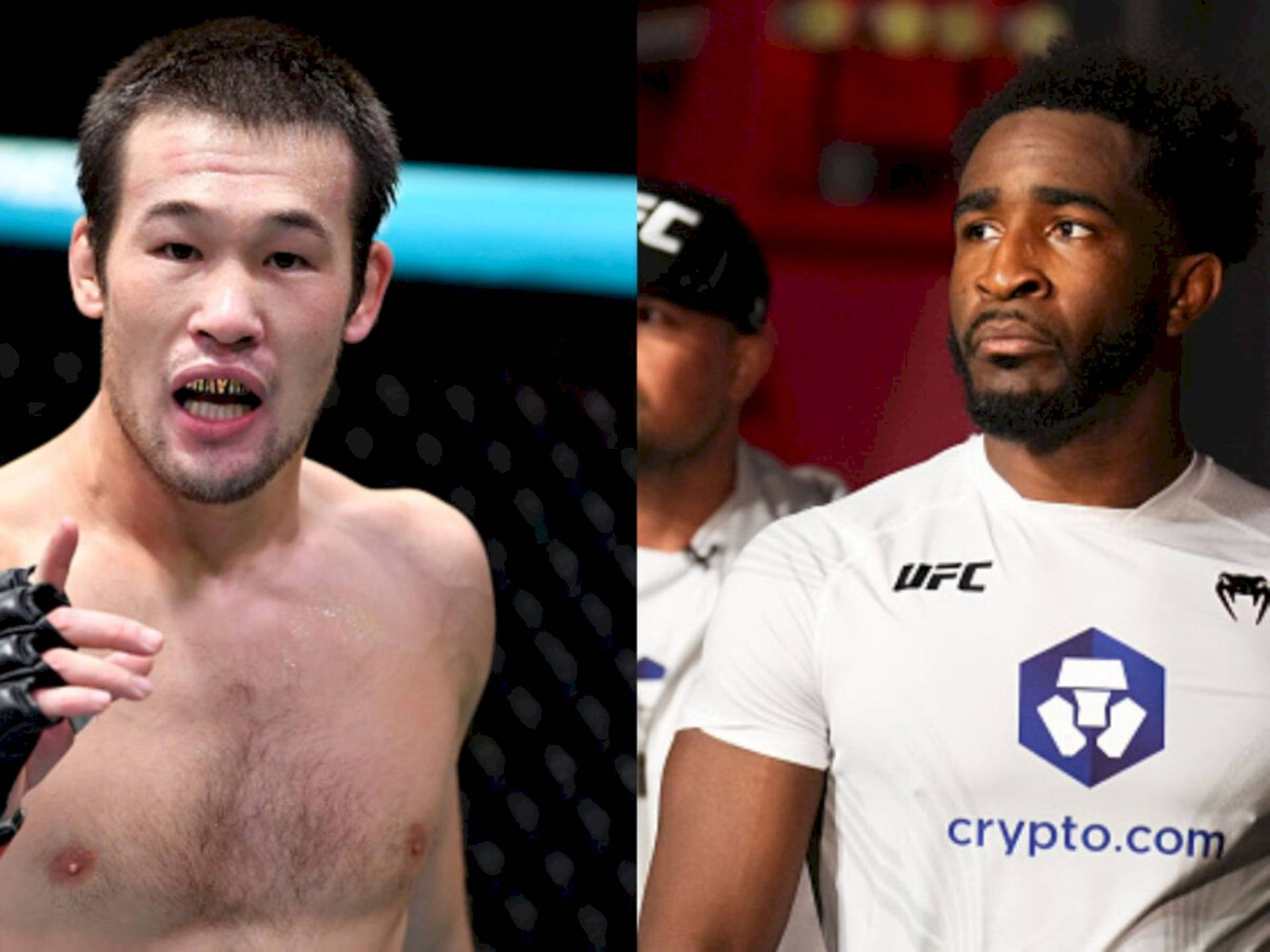 兩名男性UFC拳手穿著戰鬥裝備，表情激烈。
