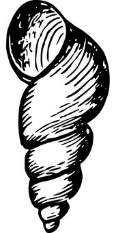沙灘極樂_黑白 壁紙