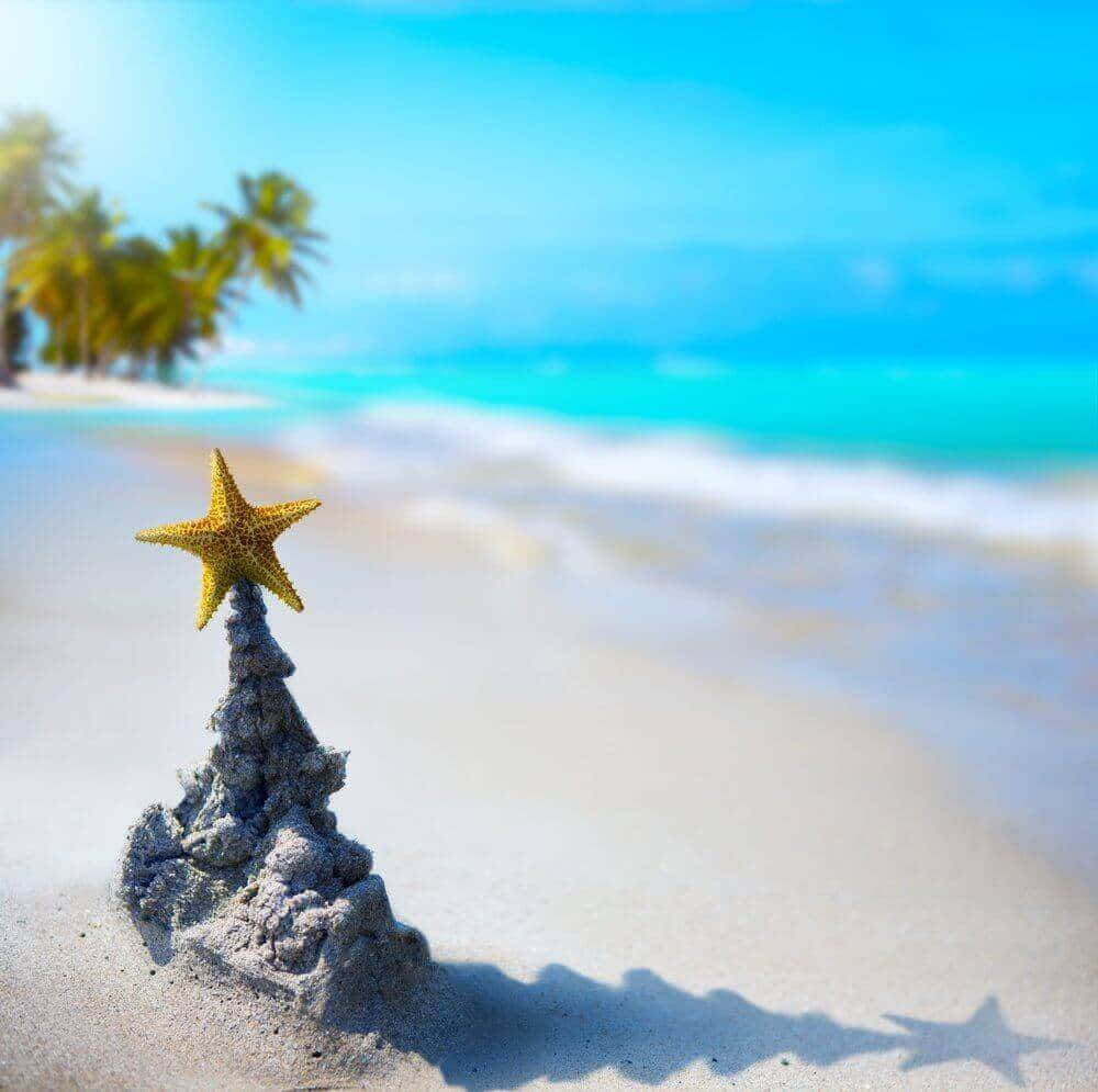 熱帶海灘上的沙堡，頂部有海星，周圍有棕櫚樹和碧綠的海水。