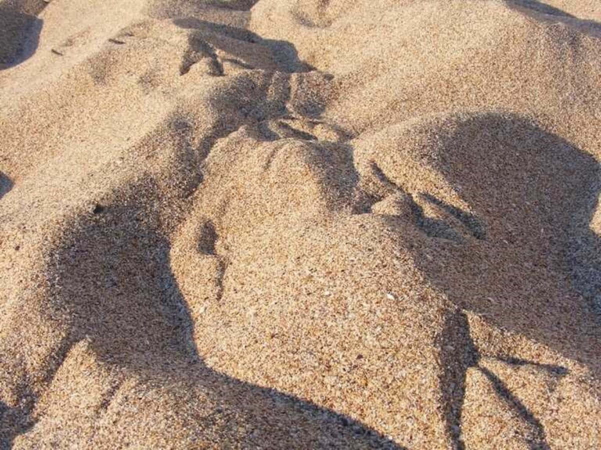 沙粒穹頂畫面 壁紙 — 特寫鏡頭：在明亮陽光下，風雕刻出紋理豐富的金色沙丘，投下銳利陰影。