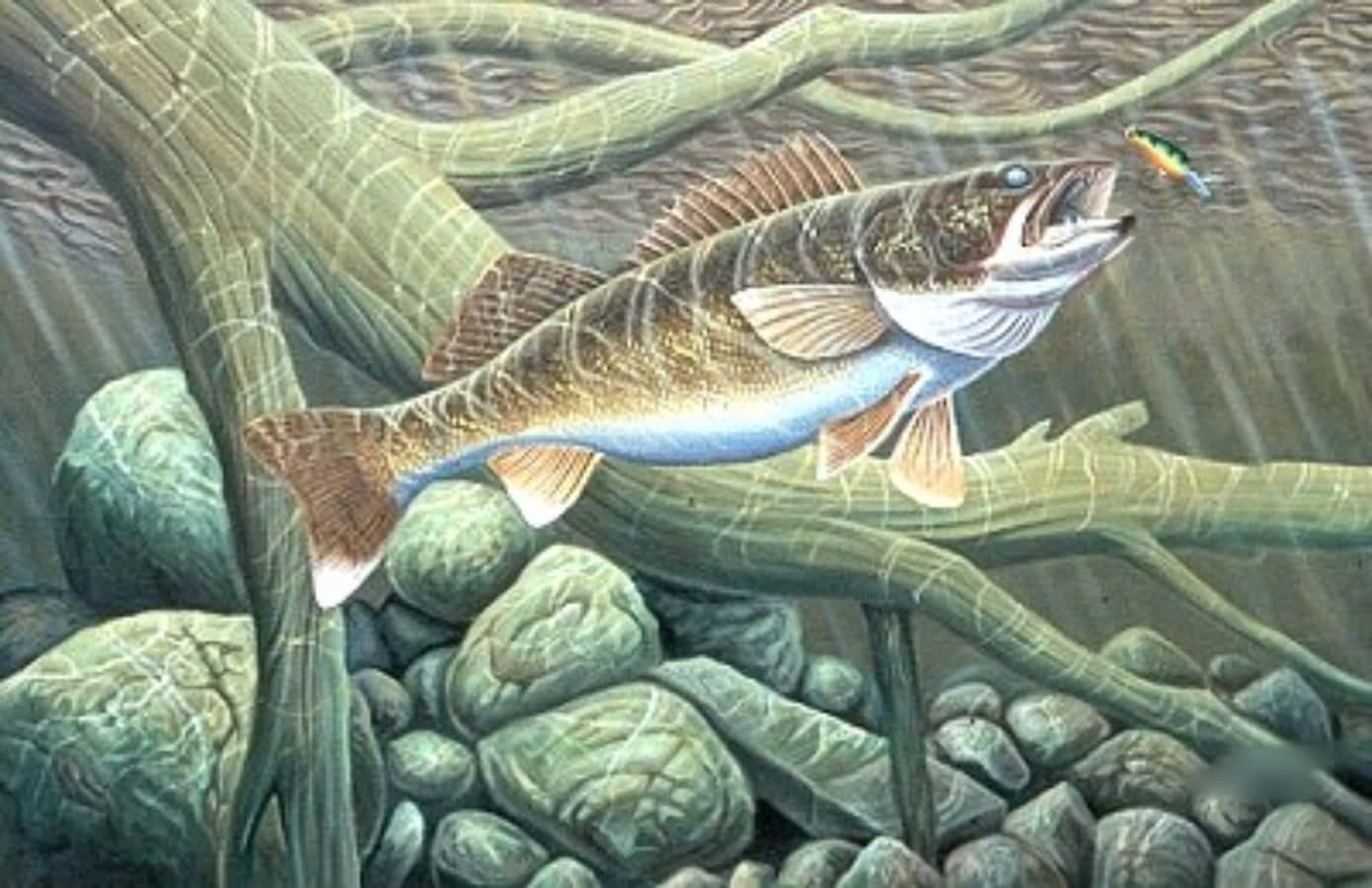河中游動的鱒魚，特徵為金色眼睛 壁紙 — 一幅詳細插圖，描繪一條碧古魚從清澈的水中躍起，在 submerged 的樹根和岩石間捕捉魚餌。