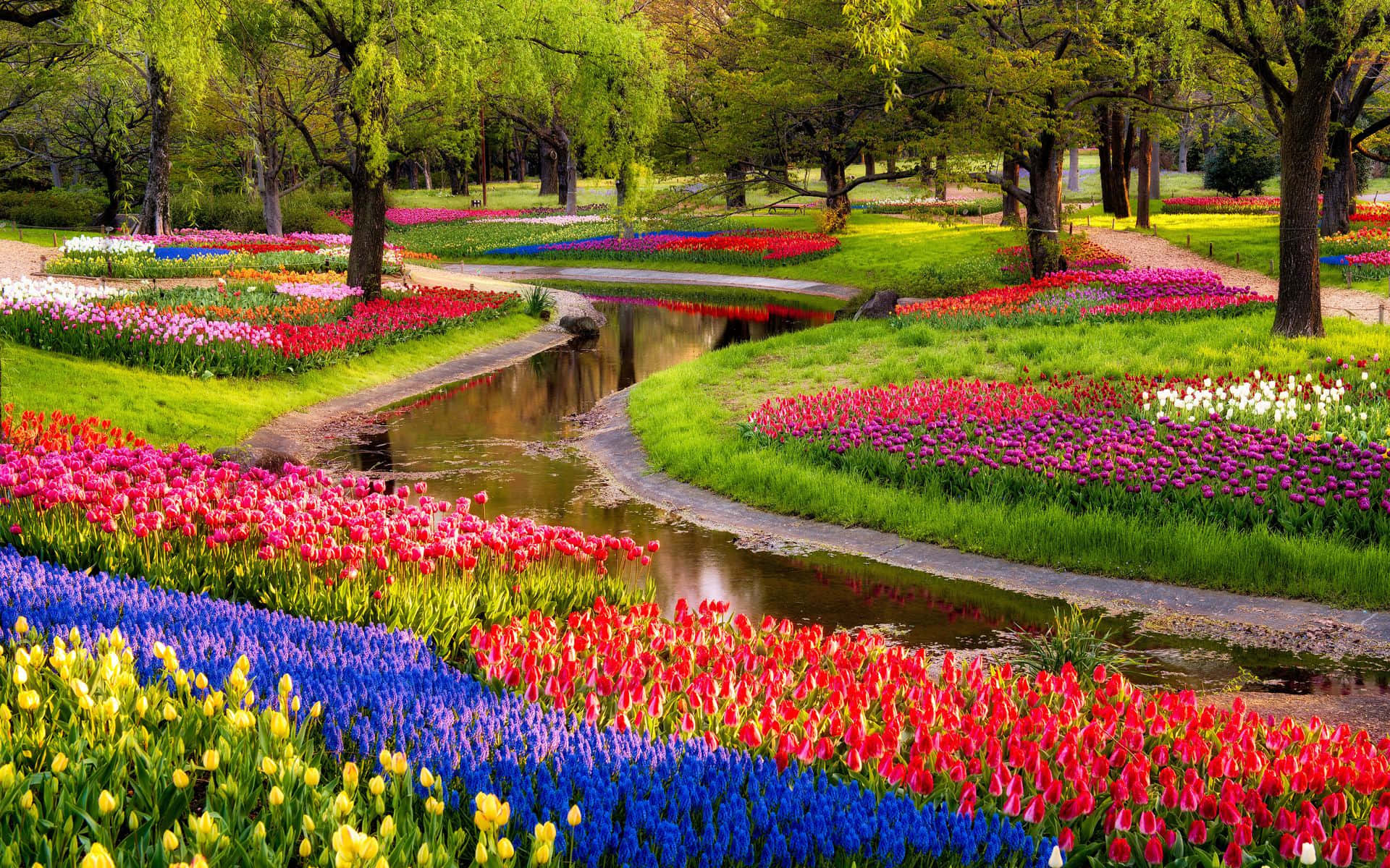 河畔花園圖 壁紙 — 一條蜿蜒的小溪流過一個充滿活力的花園，花園裡開滿了色彩繽紛的鬱金香和風信子，沐浴在明媚的春日陽光下。