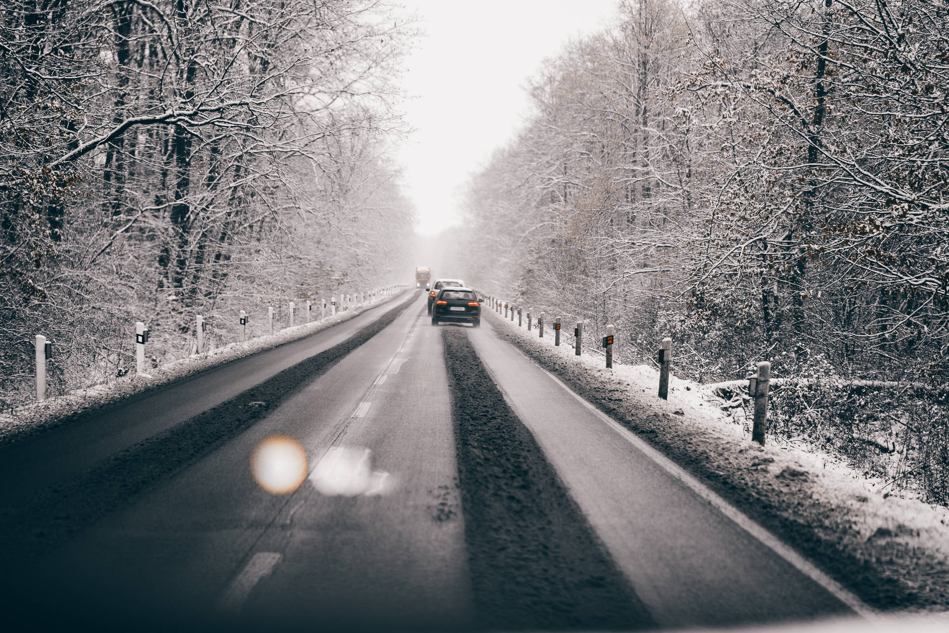 汽車在積雪的森林道路上，光禿樹木與霧濛濛的冬日氛圍。