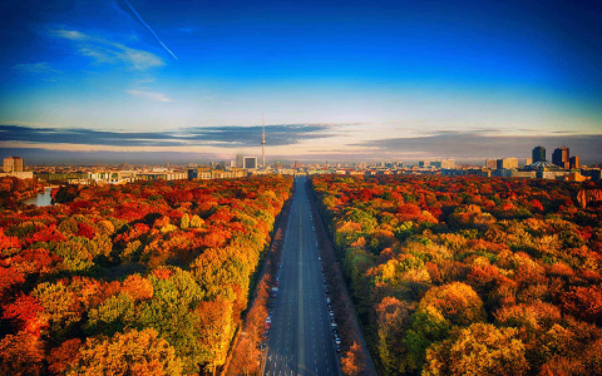 一條穿過秋樹的道路在日落時分通往城市天際線。
