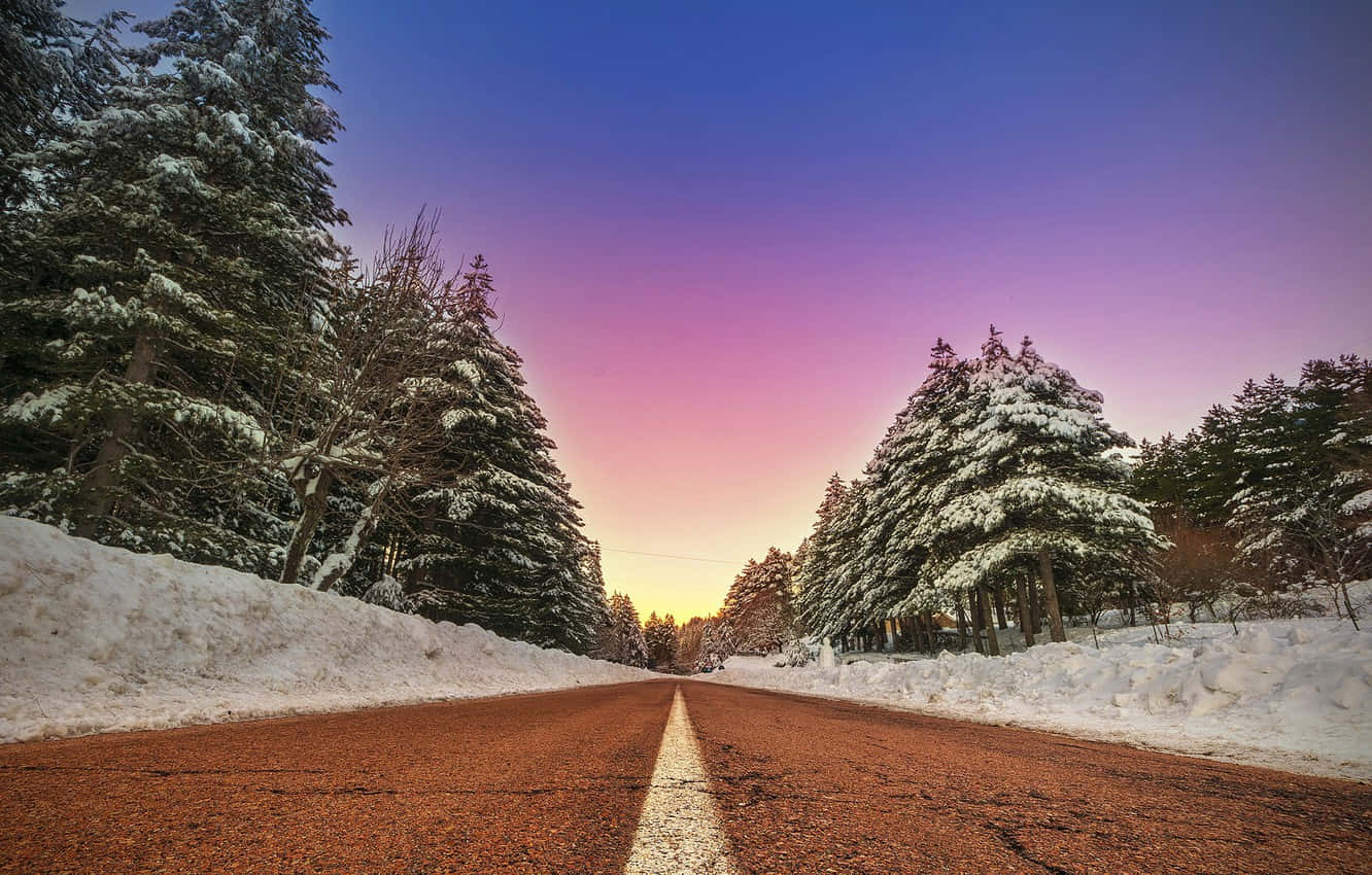 沿著寧靜鄉間小路前行 壁紙 — 一條積雪的道路穿過松樹林，延伸在充滿活力的紫色和藍色暮色天空下。