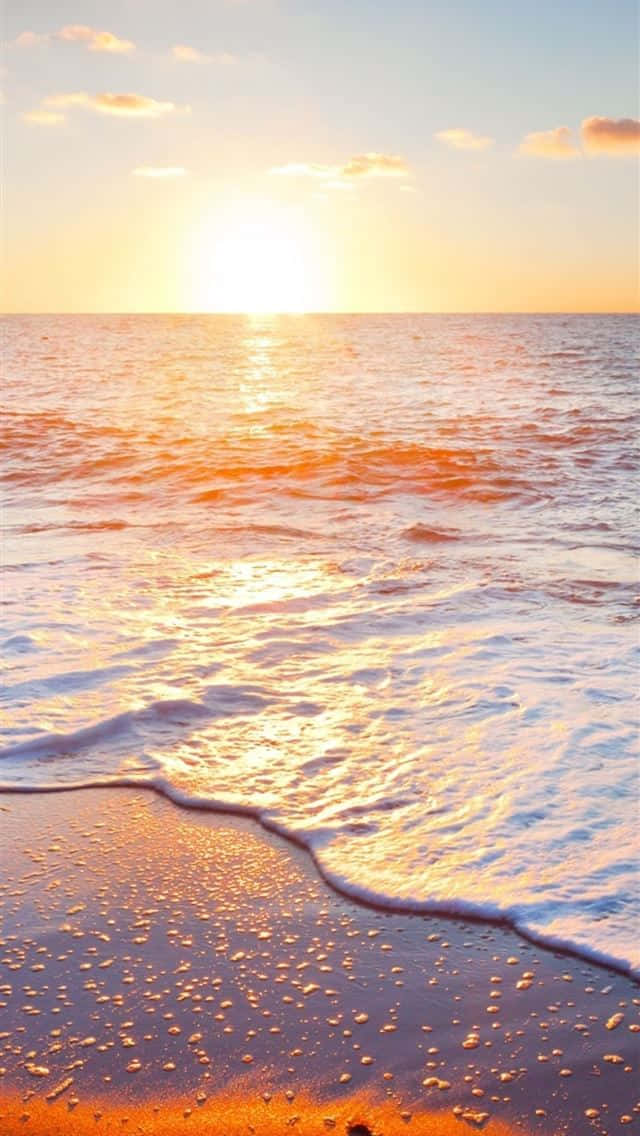 夕陽海浪沖刷濕沙，金色光線在水面反射。