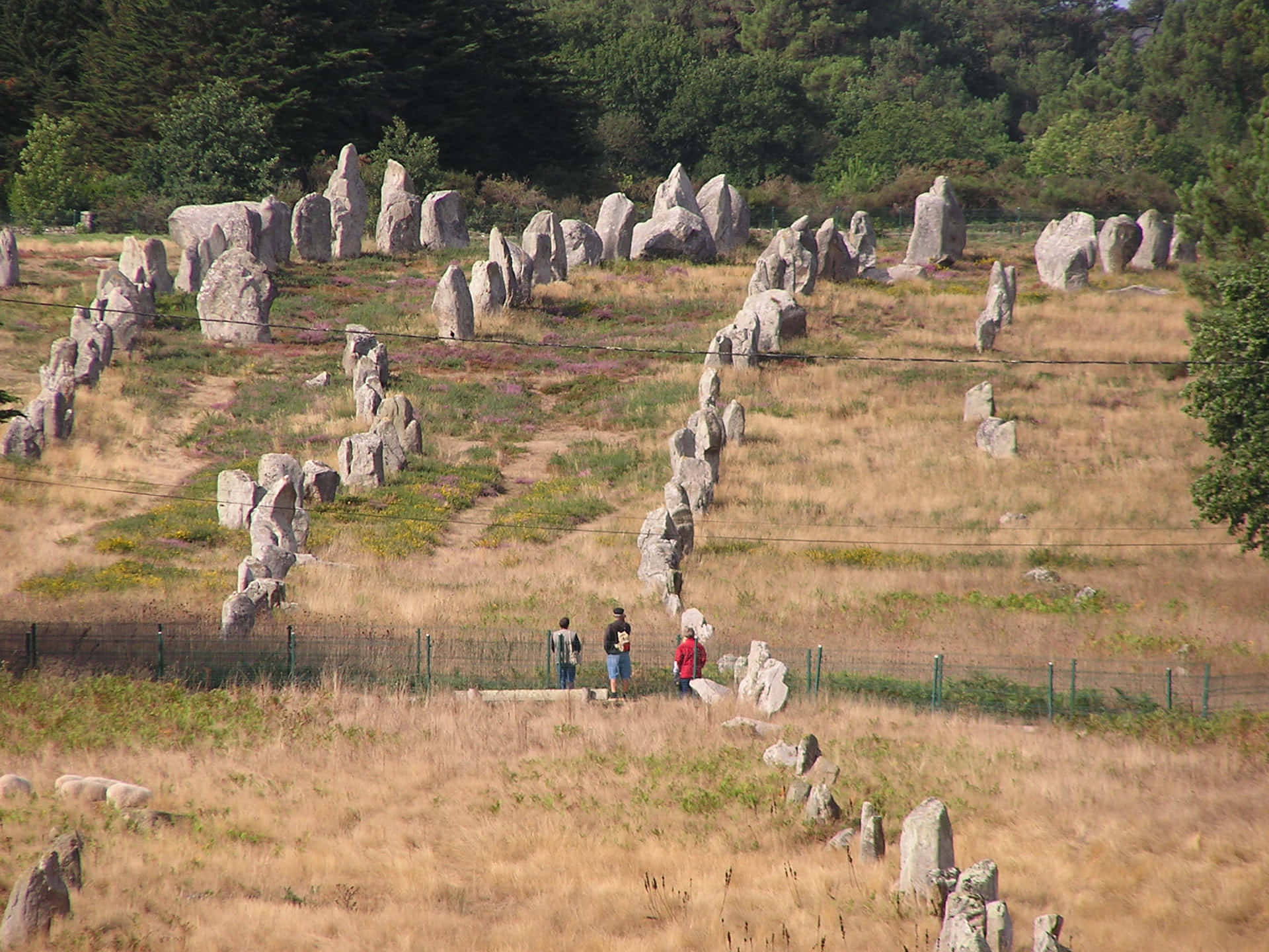 三個人站在乾草地中的古代立石之間。