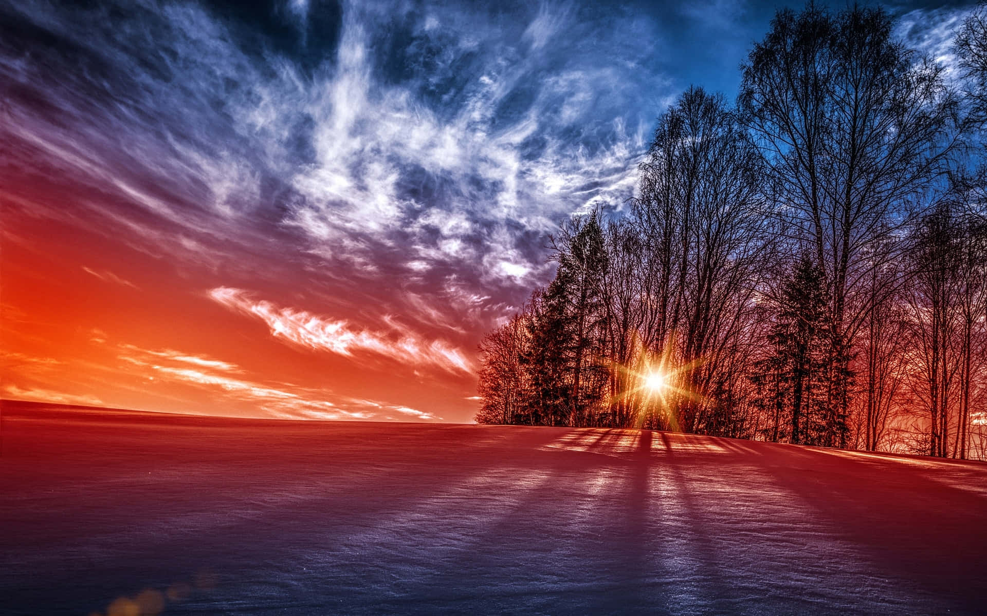 法國尼斯紅藍天空 壁紙 — 一個充滿活力的冬季日落，在雪地上投射出火熱的橙色和深藍色調，襯托著樹木的剪影和燦爛的陽光爆發。