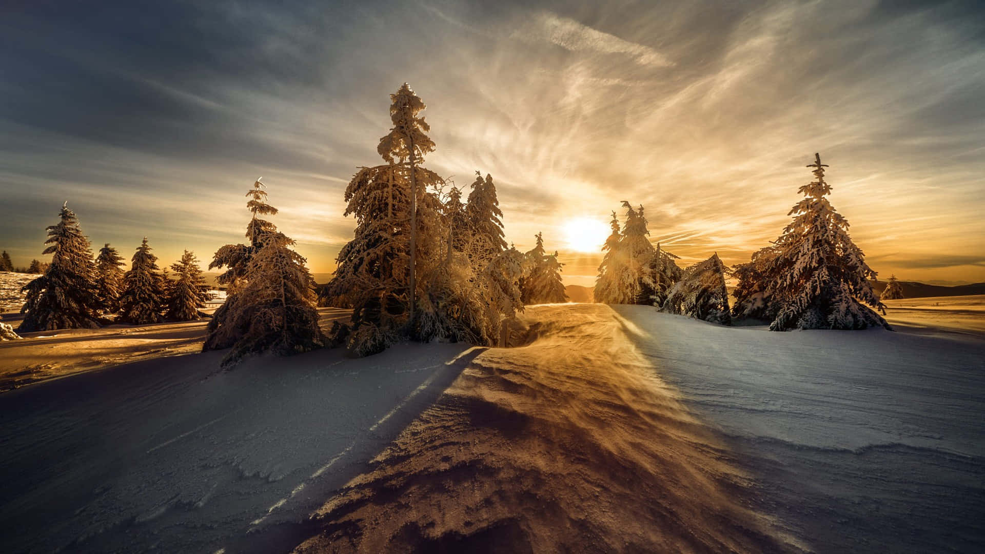 法國阿爾卑斯山的冬季逃逸 壁紙 — 夕陽將金色的光芒灑在積雪的松樹和蜿蜒的小徑上，營造出寧靜的冬日森林。