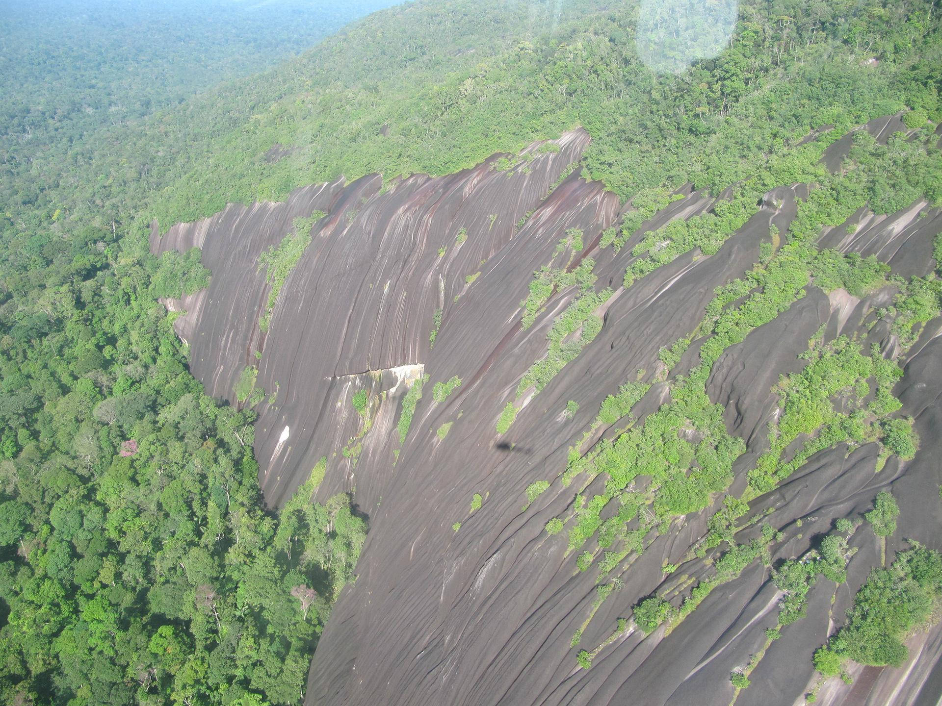 法屬圭亞那山峰壯麗景色 壁紙 — 從茂密綠色叢林樹冠中升起的巨大層狀岩層的鳥瞰圖。