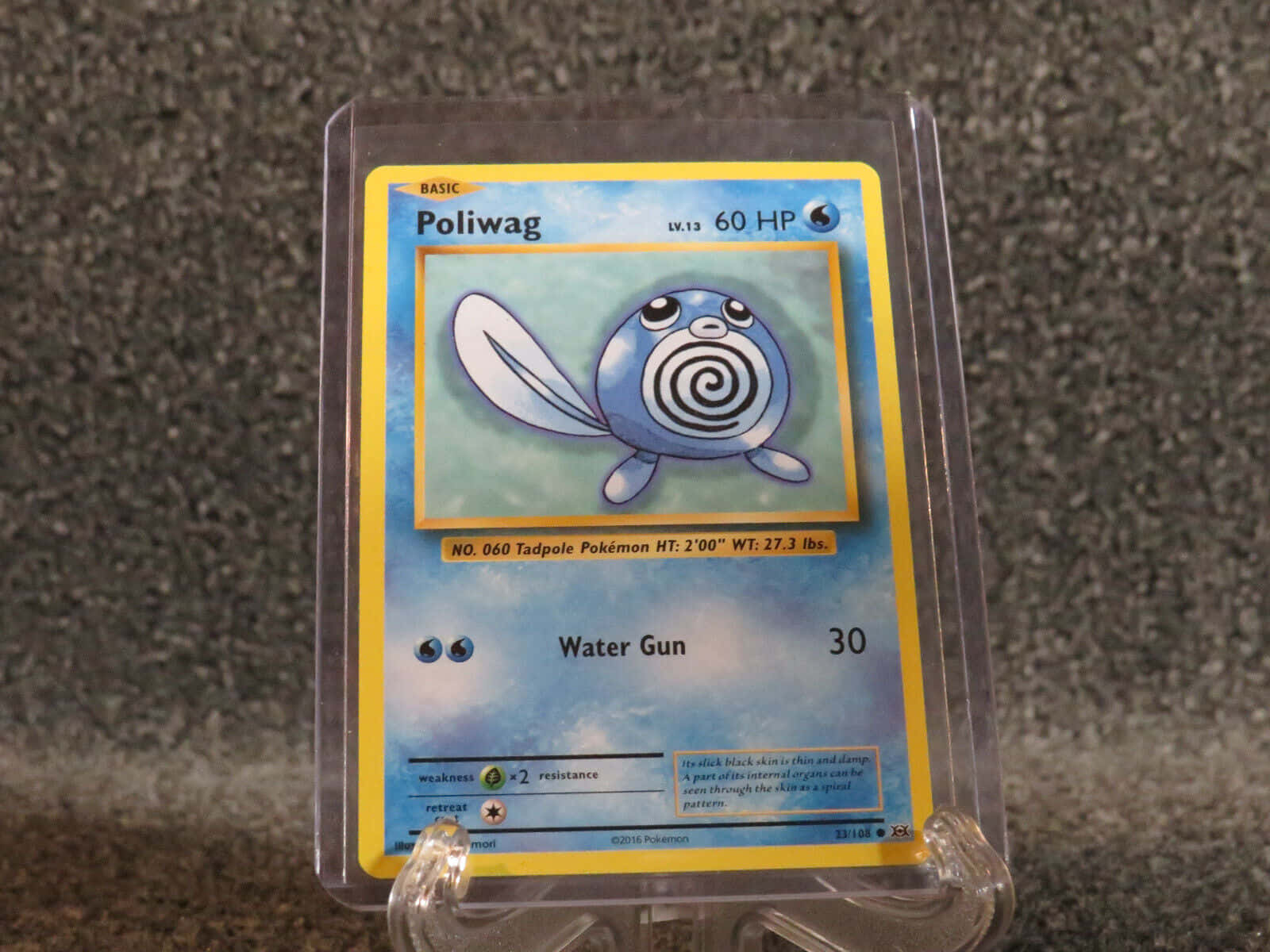 一張Poliwag Pokémon交換卡，放在透明保護盒內。
