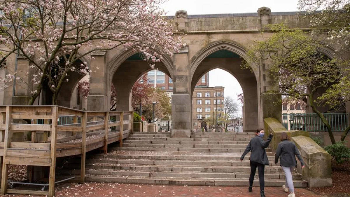 波士頓大學校園壯觀景觀 壁紙 — 春天，兩人在歷史悠久的拱橋下，沿著石階而上，兩旁櫻花盛開。
