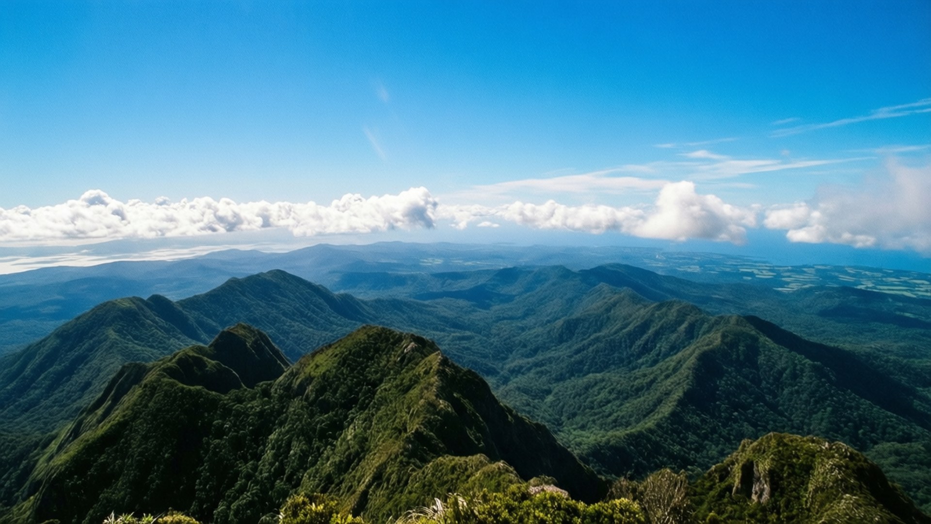 波多黎各最高點賽羅德潘塔全景 壁紙 — 一片廣闊的翠綠山脊景觀，在明亮的藍天下散佈著白雲。