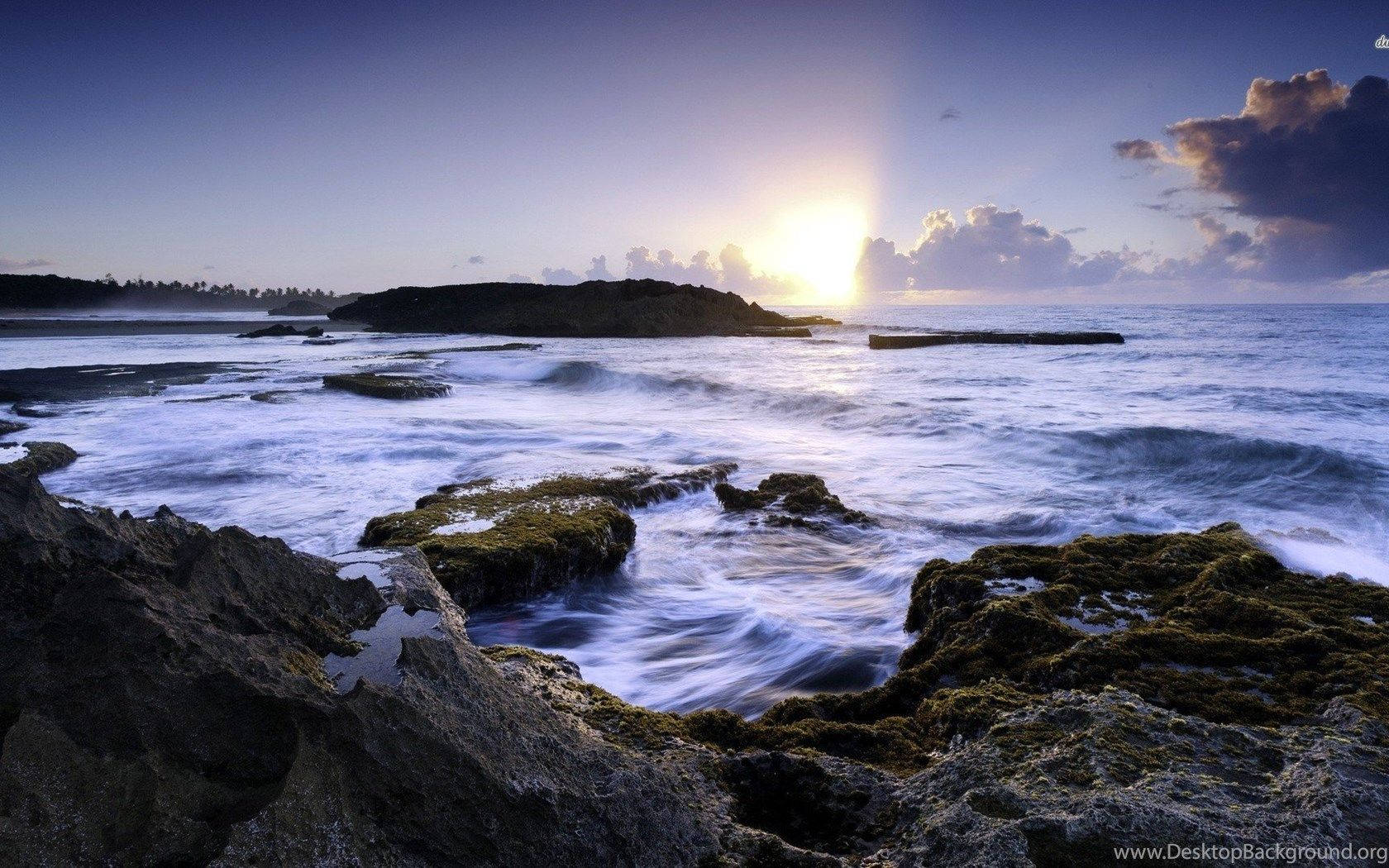 夕陽下海浪拍打長滿苔蘚的岩石