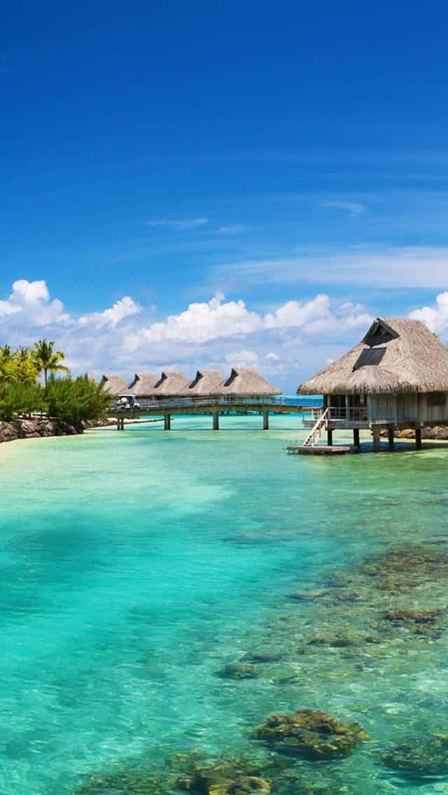 波拉波拉島的壯麗景觀 壁紙 — 茅草屋頂的水上平房漂浮在清澈碧綠的海水上，上方是藍天白雲。