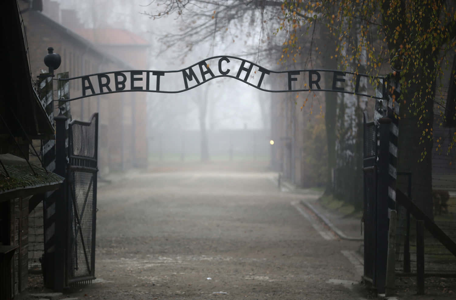 霧氣籠罩的奧斯威辛大門與ARBEIT MACHT FREI標誌