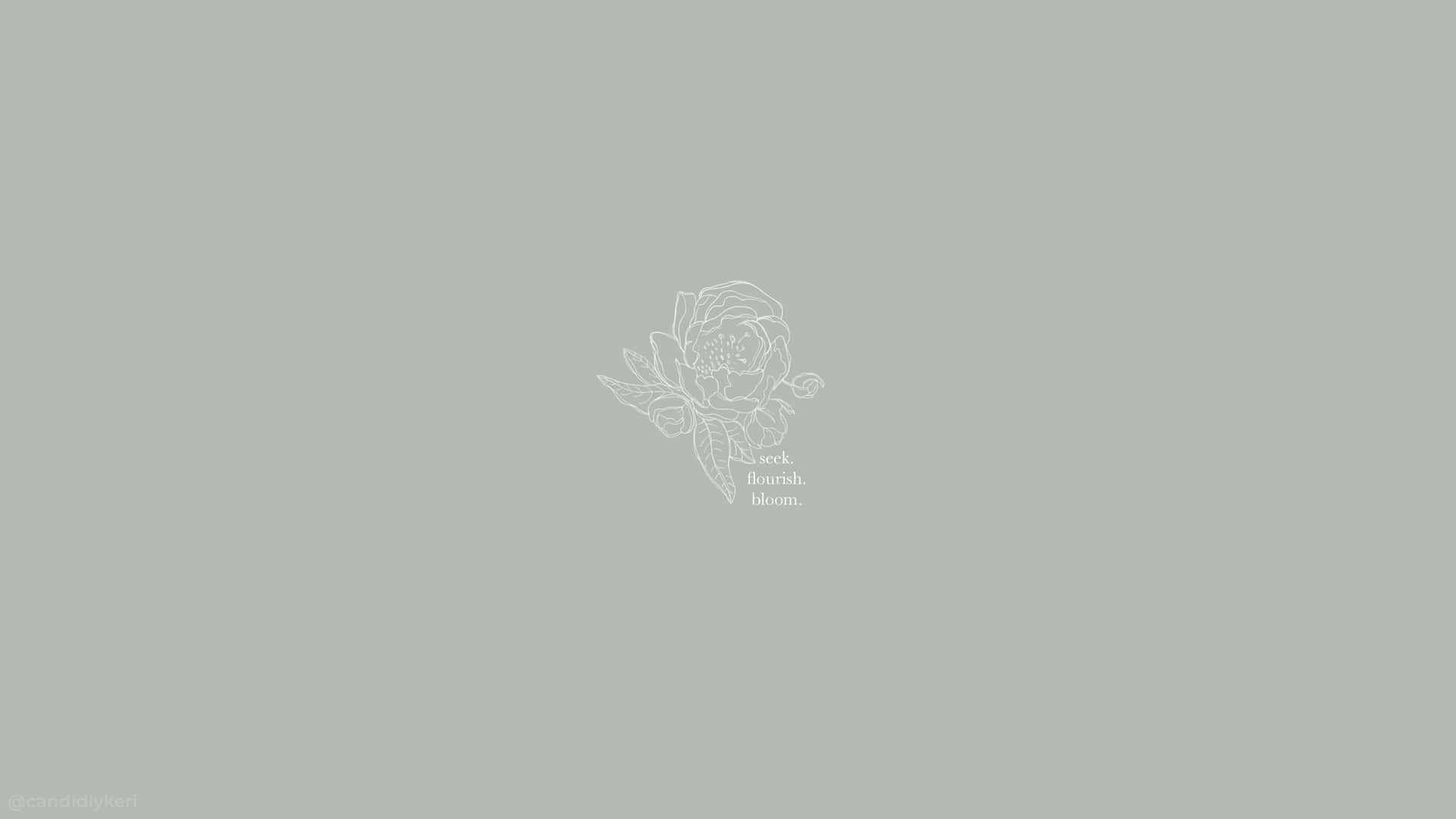 一朵精緻的白色線條玫瑰，下方有「seek flourish bloom」字樣，背景為鼠尾草綠色。