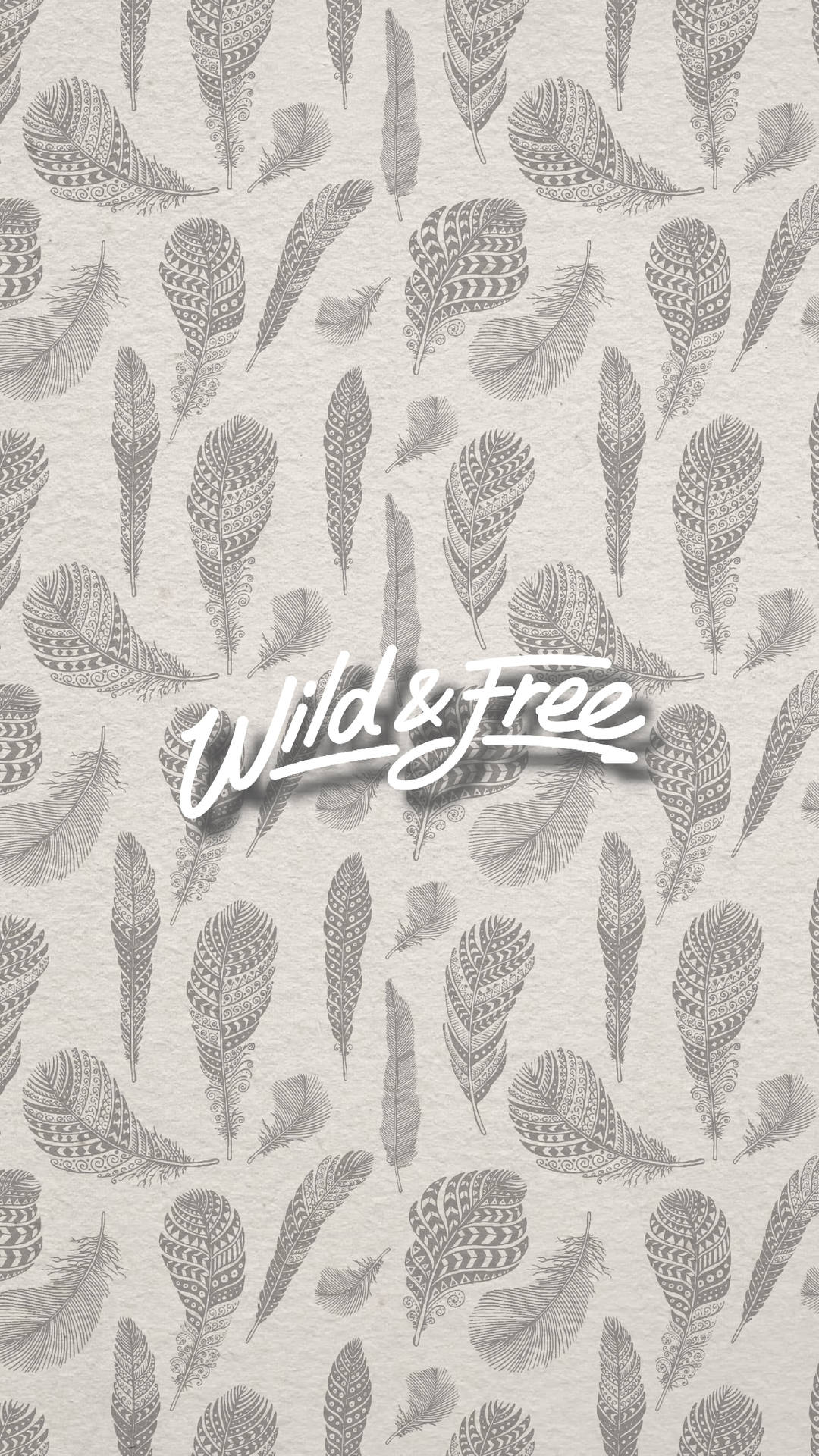 帶有「Wild & Free」文字的羽毛圖案牆紙。