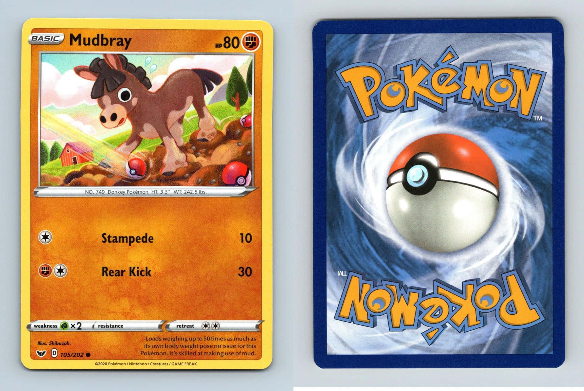 兩張 Pokémon 交換卡，一張有 Mudbray，另一張有旋轉的精靈球。