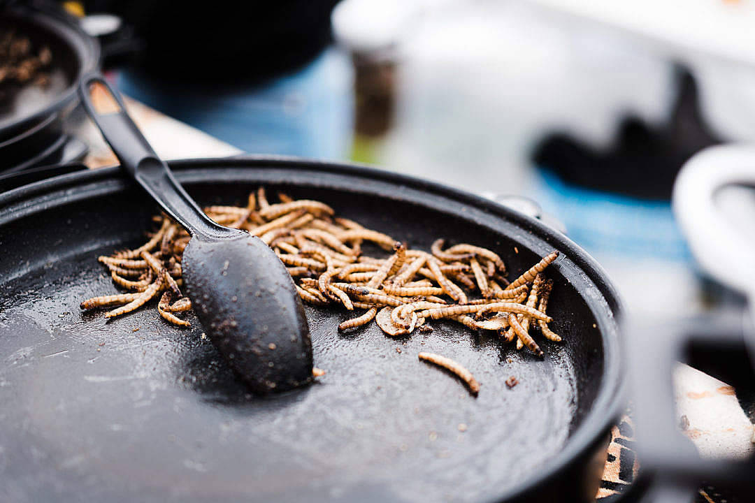 黑色煎鍋同黑色湯匙中嘅油炸昆蟲幼體。