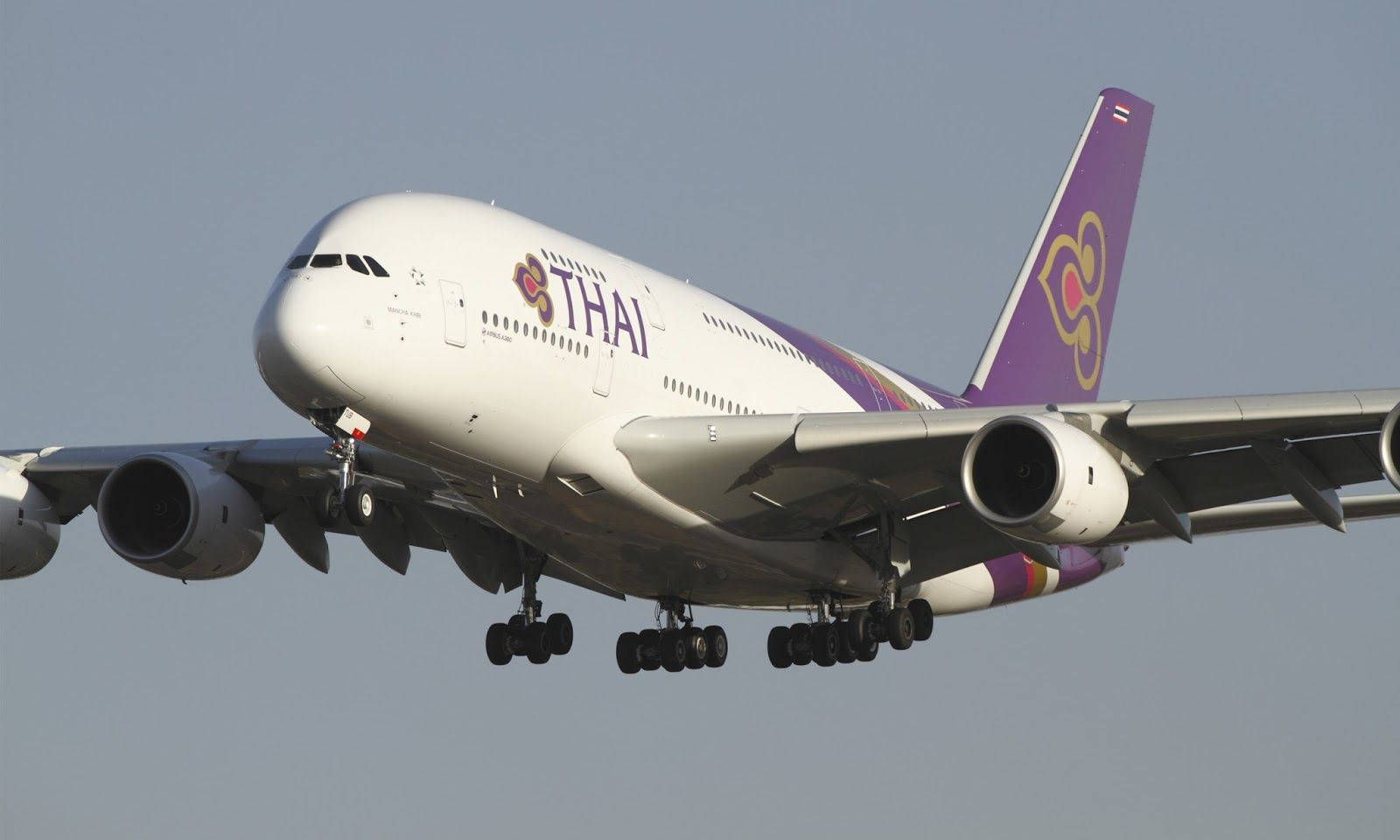 泰國航空空中巴士A380飛機放下起落架降落。
