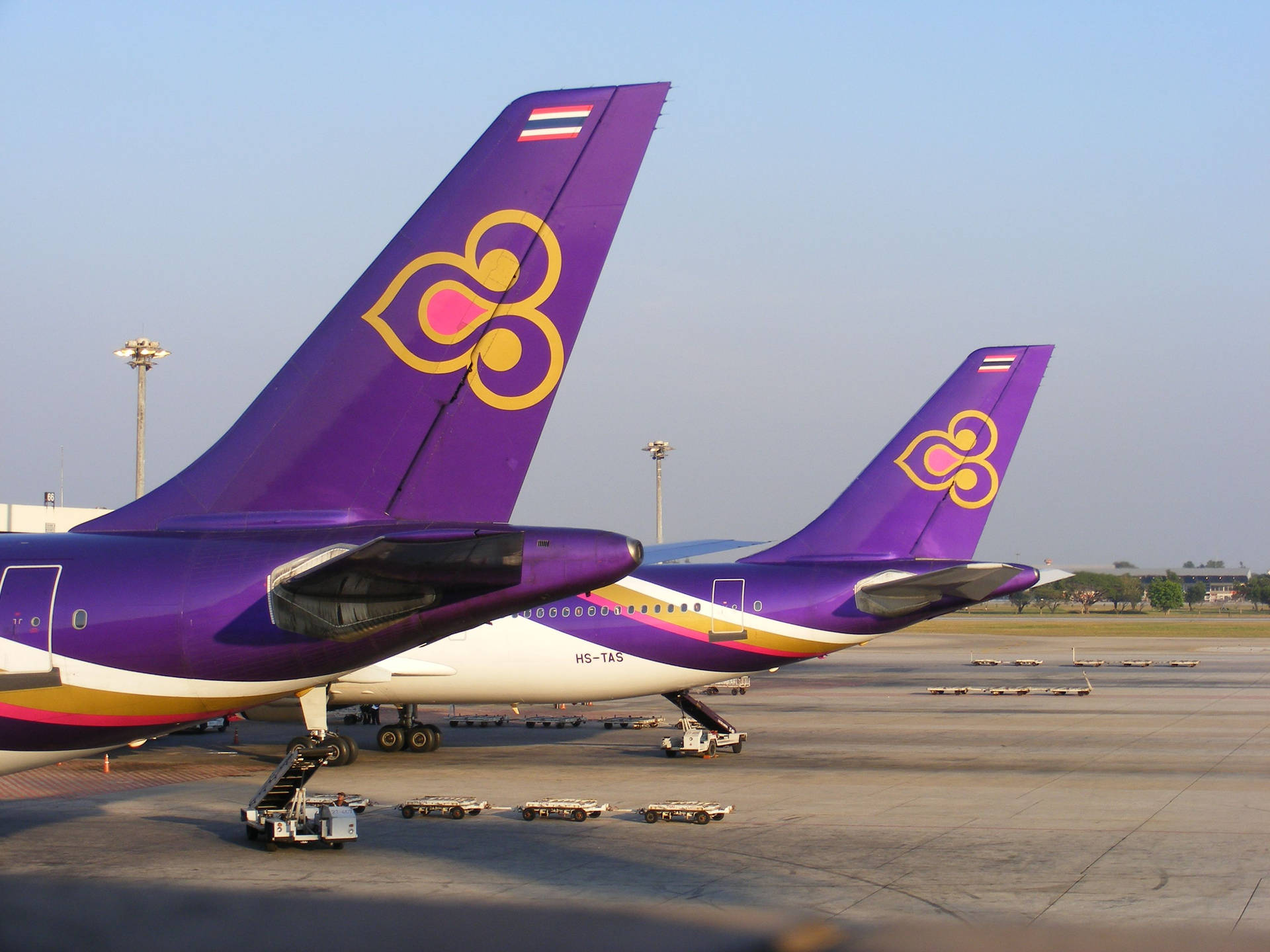 兩架泰國航空飛機白天停泊在機場停機坪上。