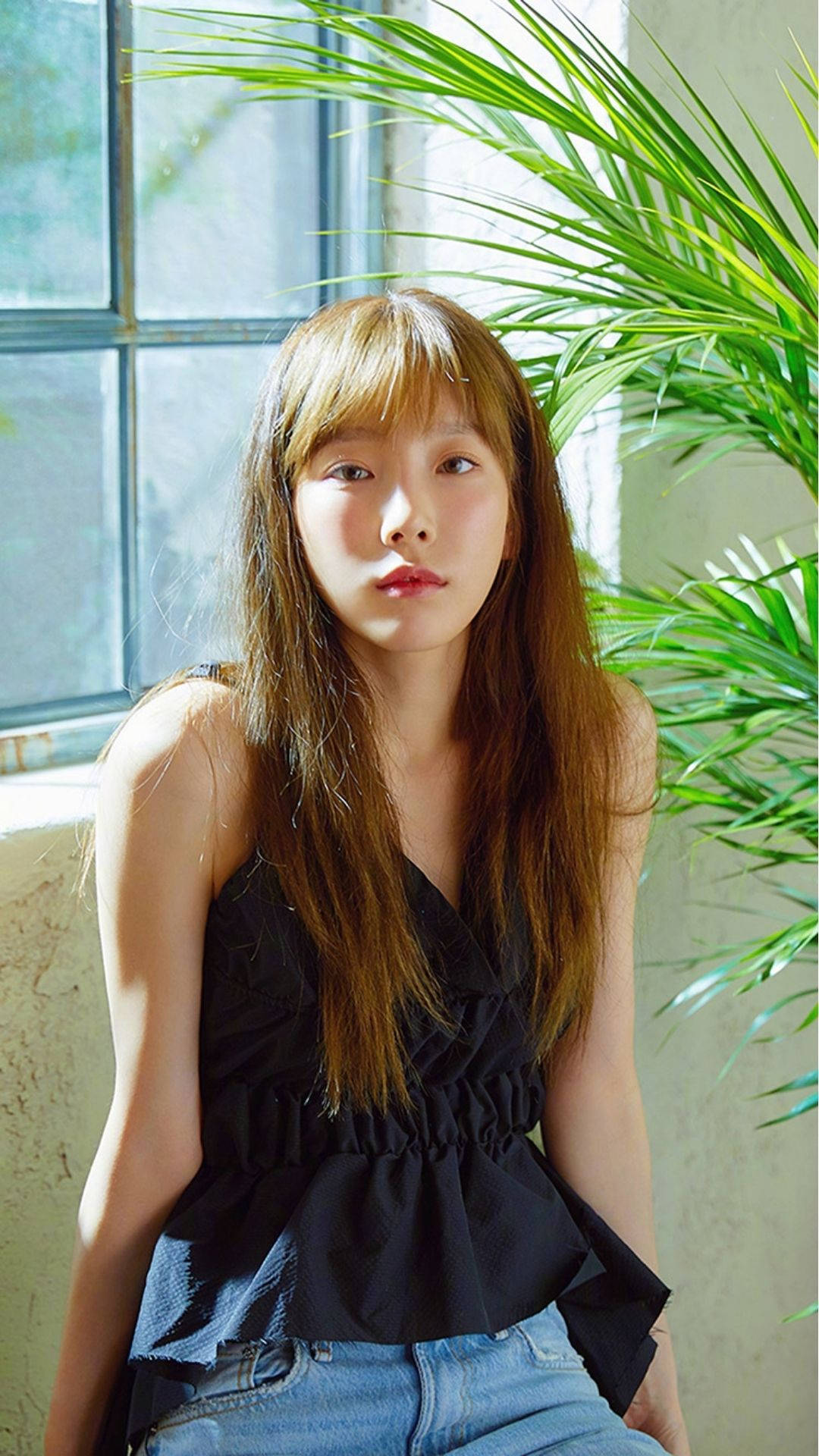 泰妍窗邊靜坐 壁紙 — 一位長著棕色長髮的年輕女子坐在窗邊，沐浴在柔和自然光中，旁邊是一棵茂盛的綠色棕櫚植物。