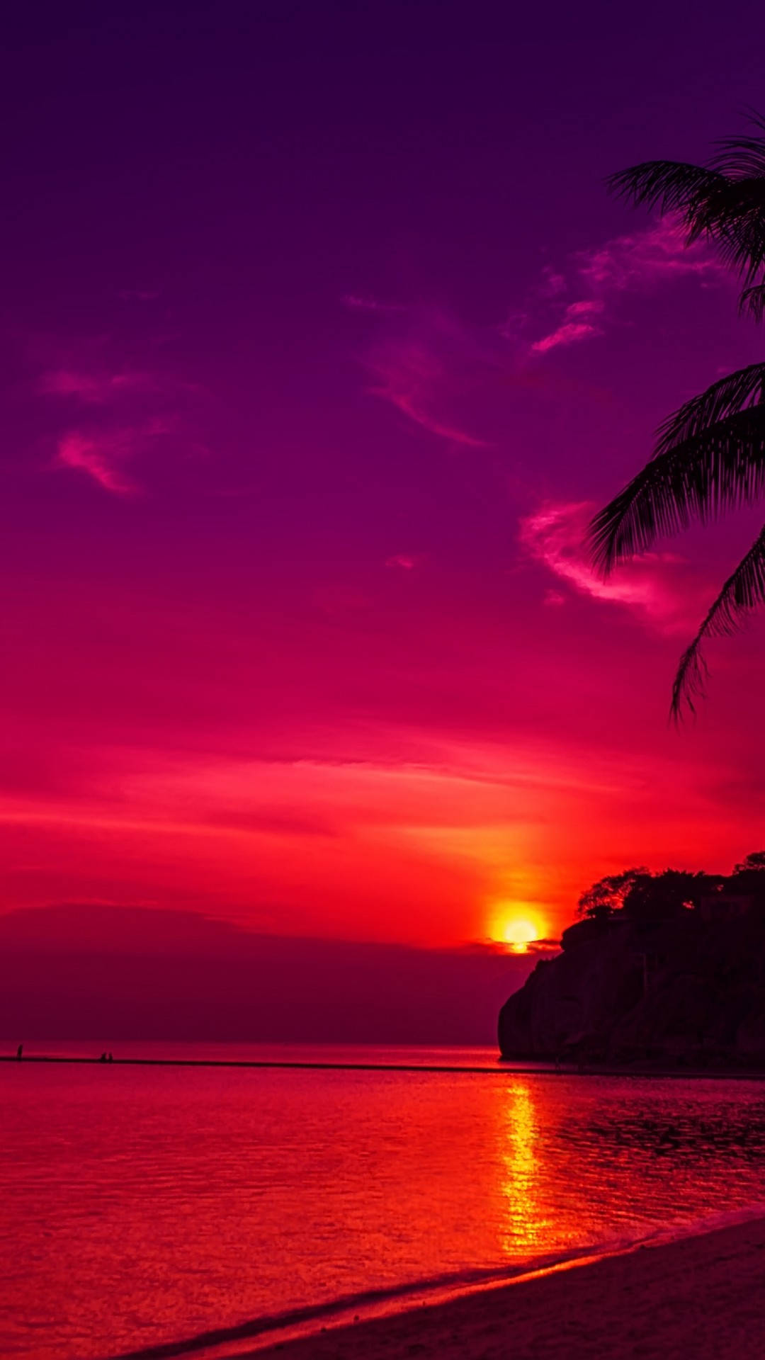 海洋上鮮豔的洋紅色和深紅色夕陽，棕櫚葉在地平線上形成剪影。