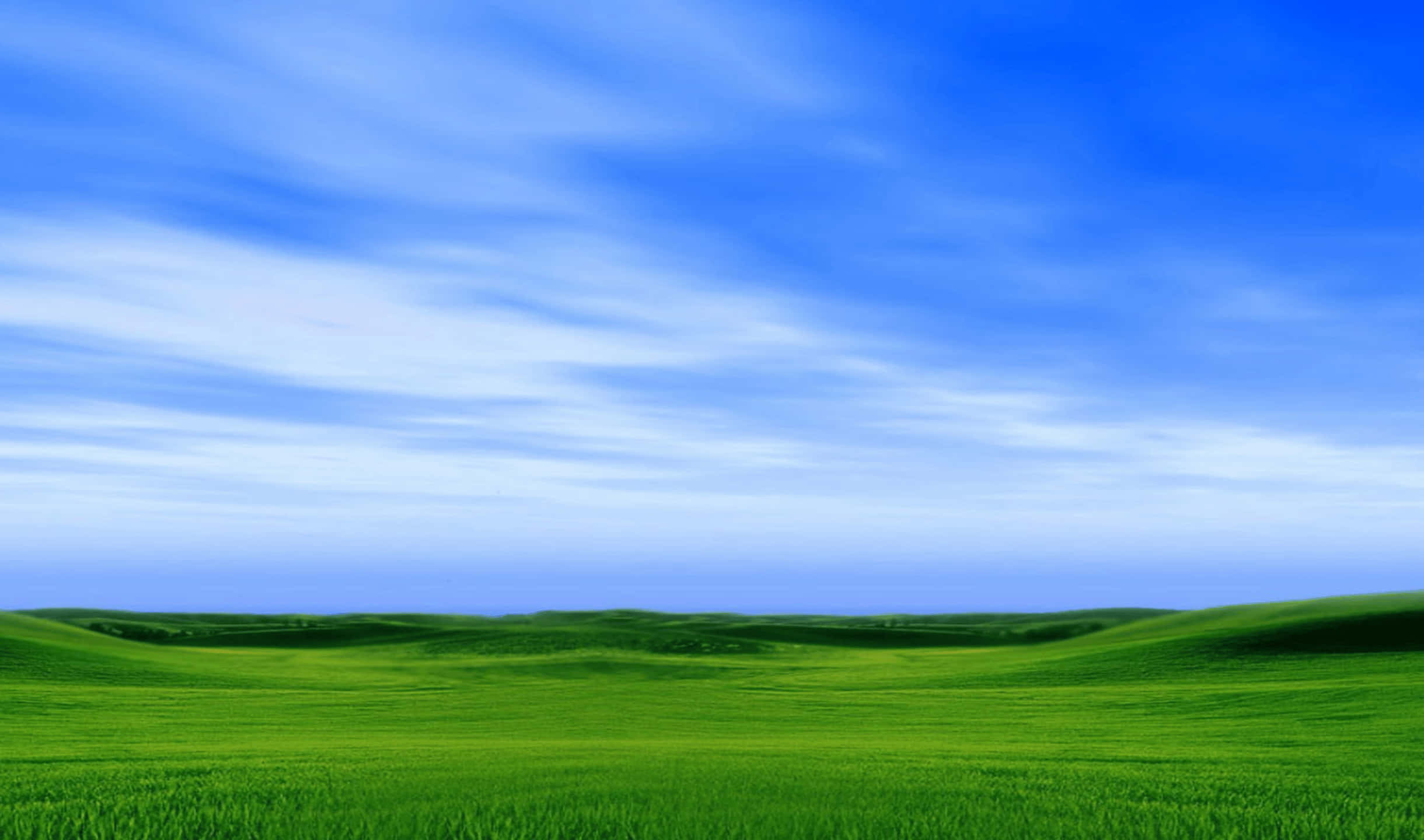 洛斯卡內羅斯 2440x1440 監視器背景 壁紙 — 廣闊的綠色起伏田野在明亮的藍天下延伸，天空點綴著縷縷白雲。