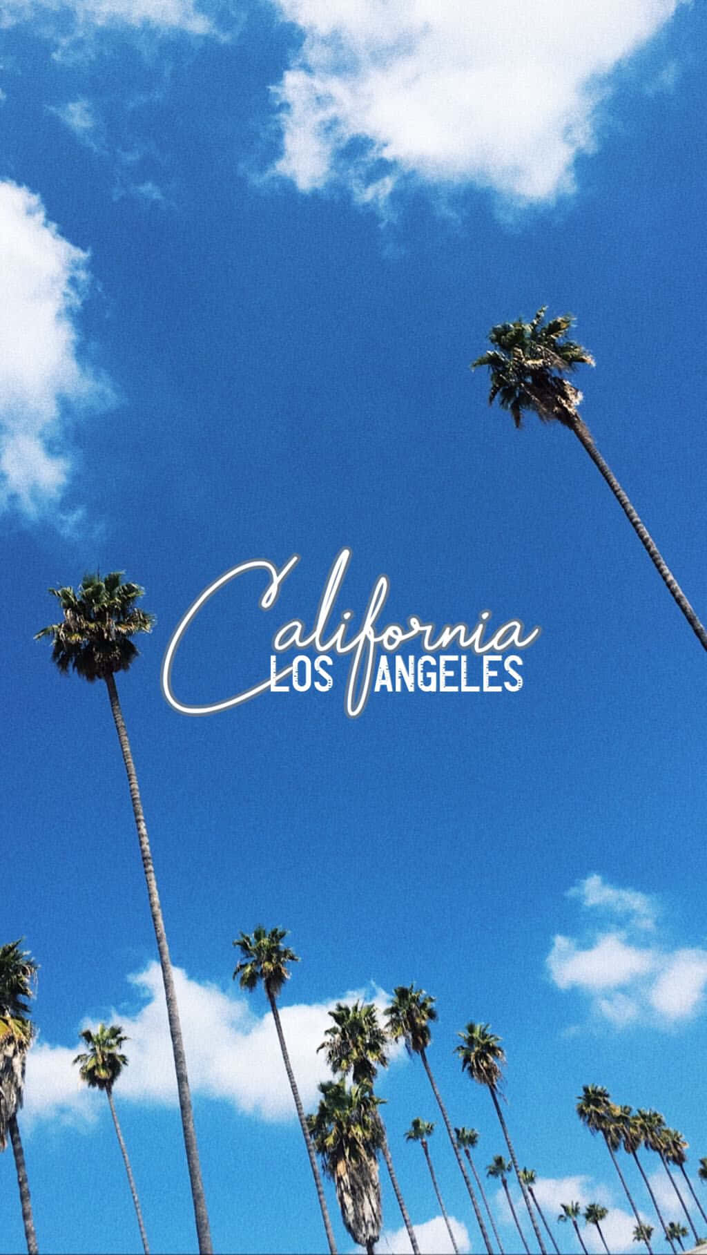 棕櫚樹映襯著明亮的藍天，上面寫著 California Los Angeles。