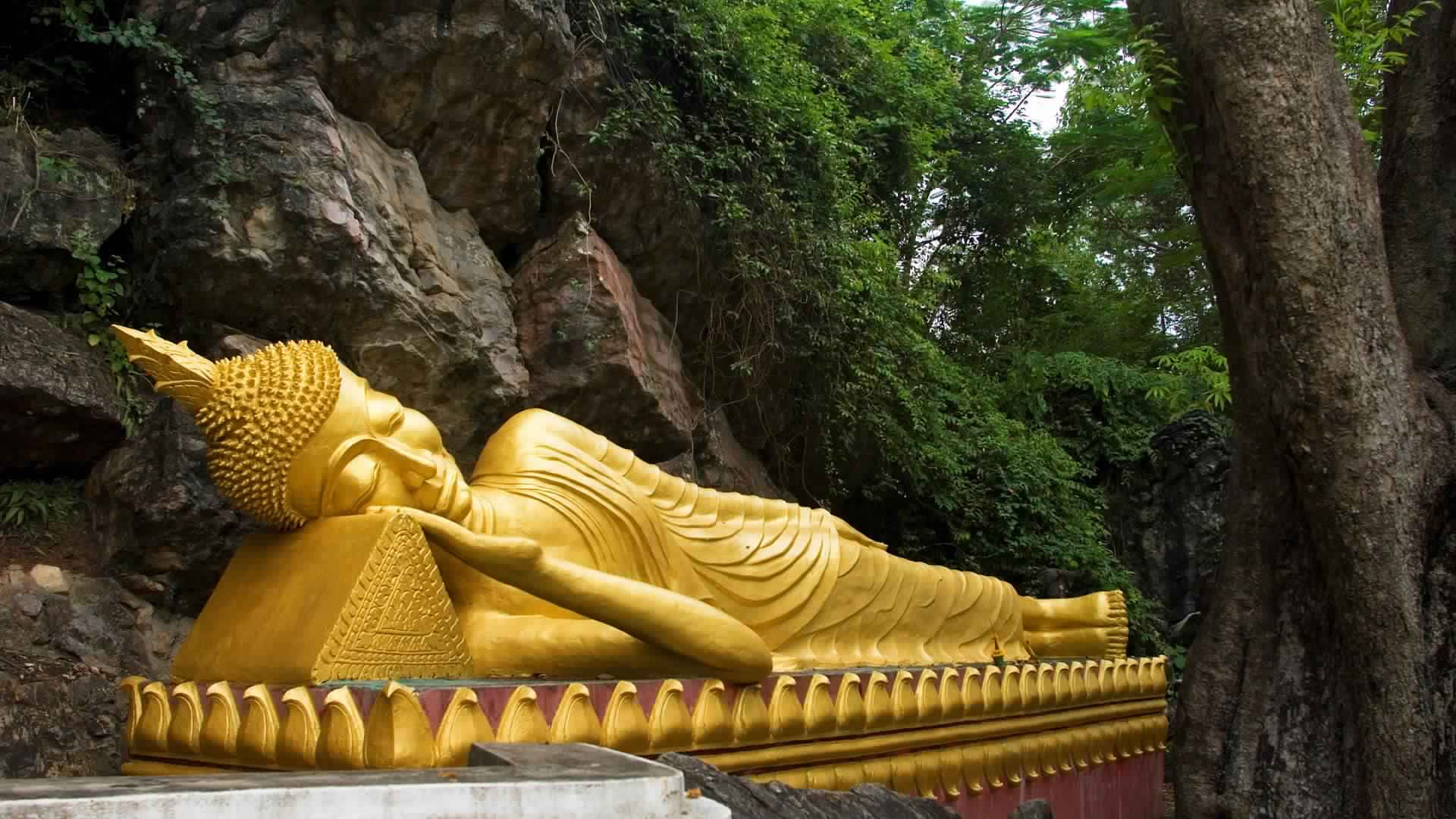 森林寺廟中的金色臥佛像