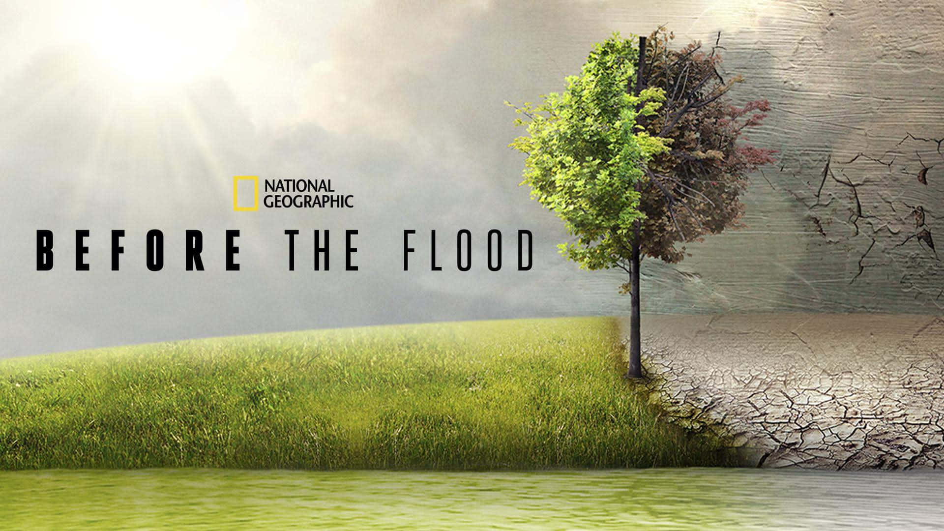 樹木在綠草和龜裂土地之間分裂，帶有「Before the Flood」文字。