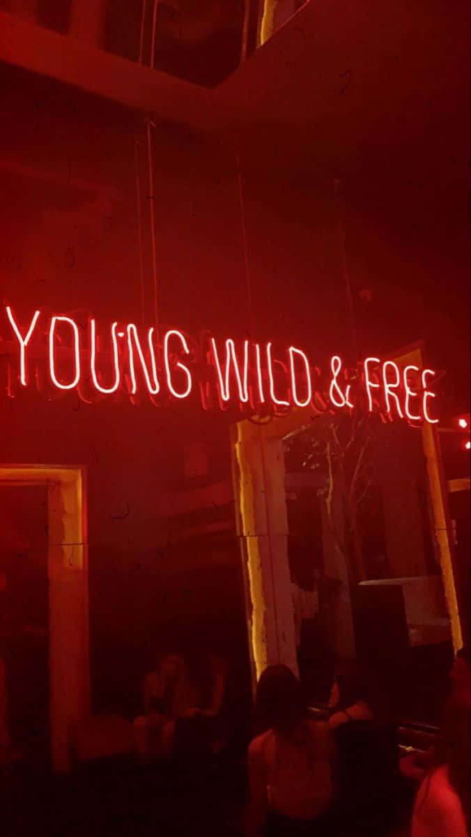在黑暗的城市小巷中，一個寫著 young wild & free 的紅色霓虹燈牌，下方有人。