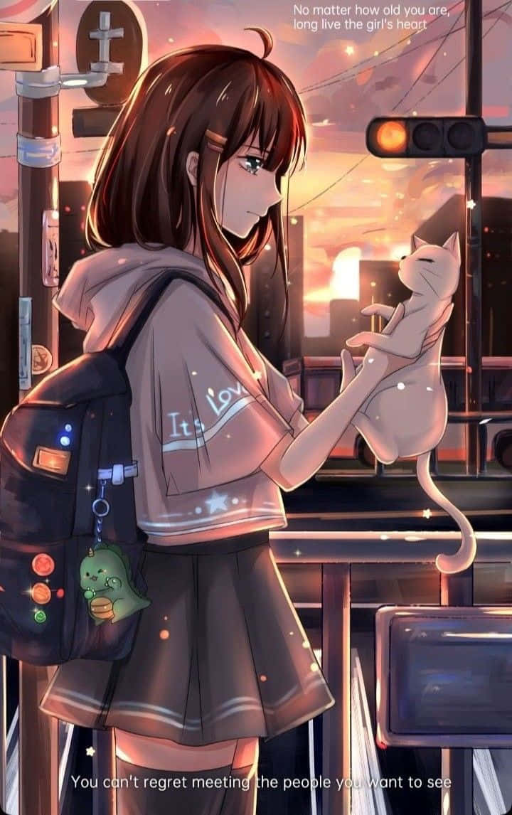動漫女孩在城市街角抱著貓咪的夕陽場景。