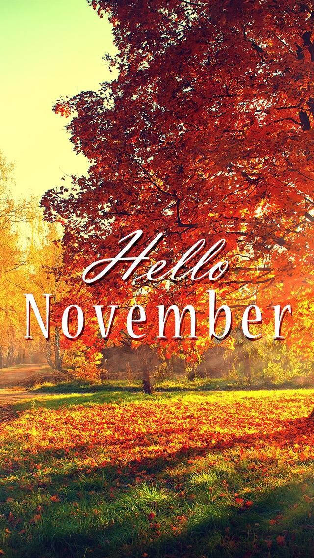 秋樹，紅葉和落葉，在金色的陽光下，帶有「Hello November」文字。