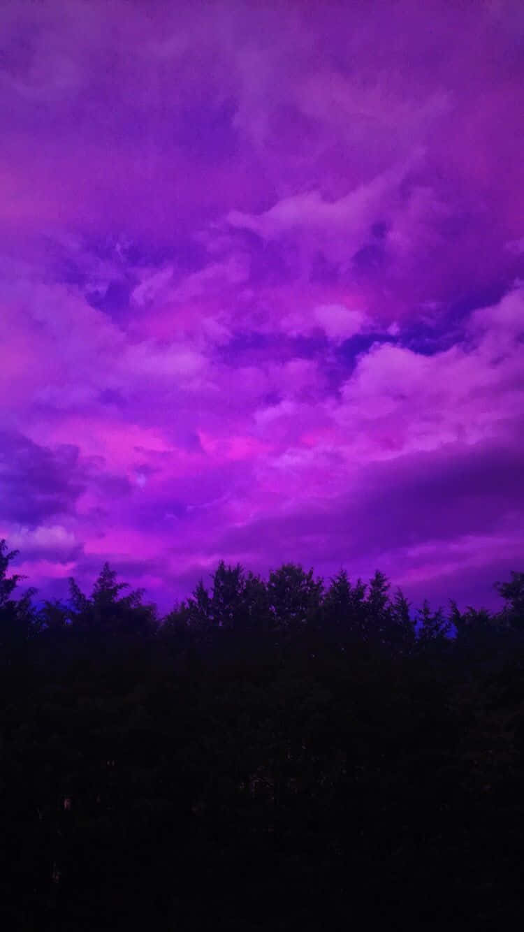 活在色彩繽紛的時刻 壁紙 — 黃昏時分戲劇性的紫色和粉紅色天空，深色樹木剪影映襯著鮮豔的雲彩。