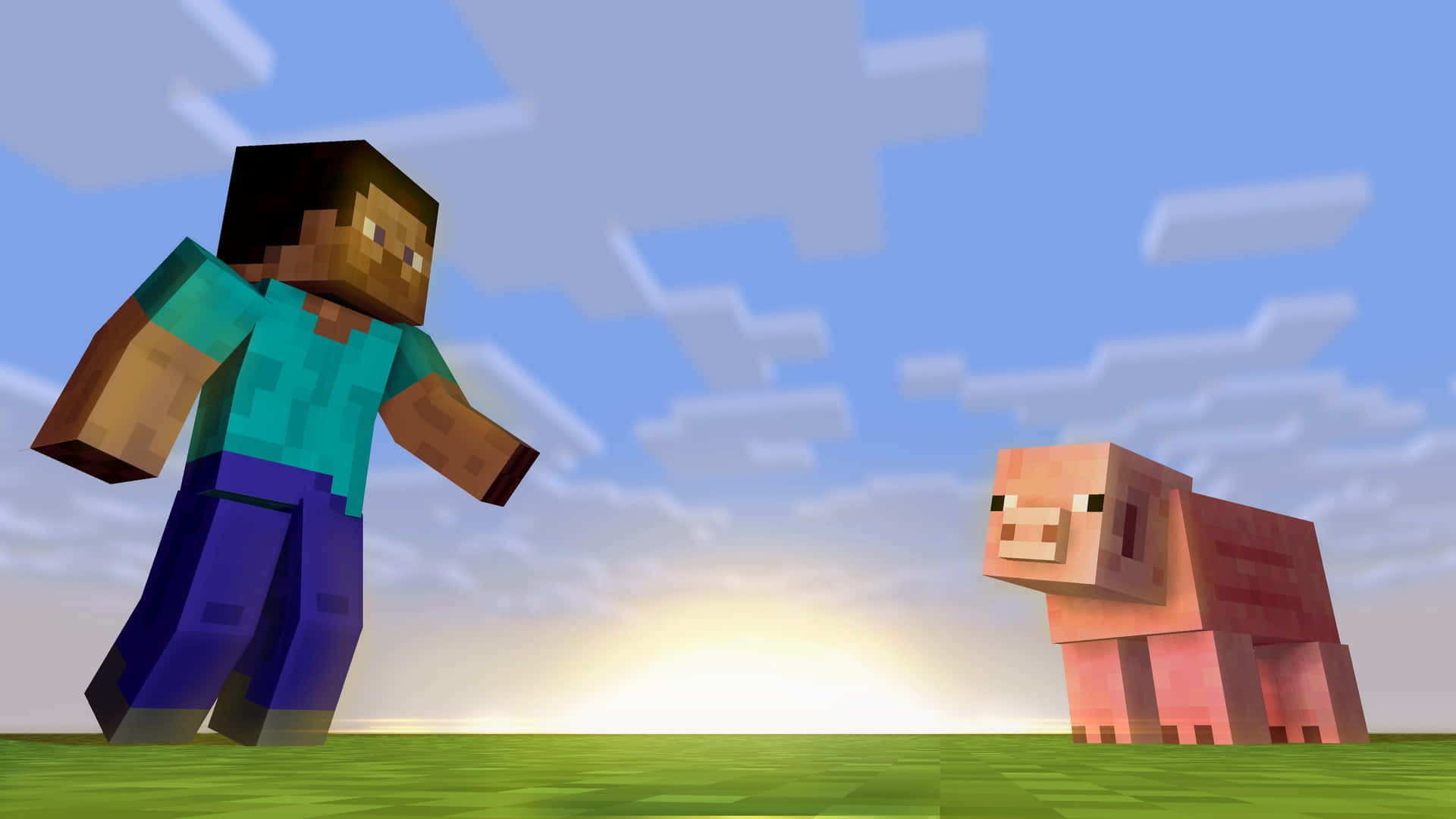 Minecraft玩家和豬在夕陽下站在草地上。