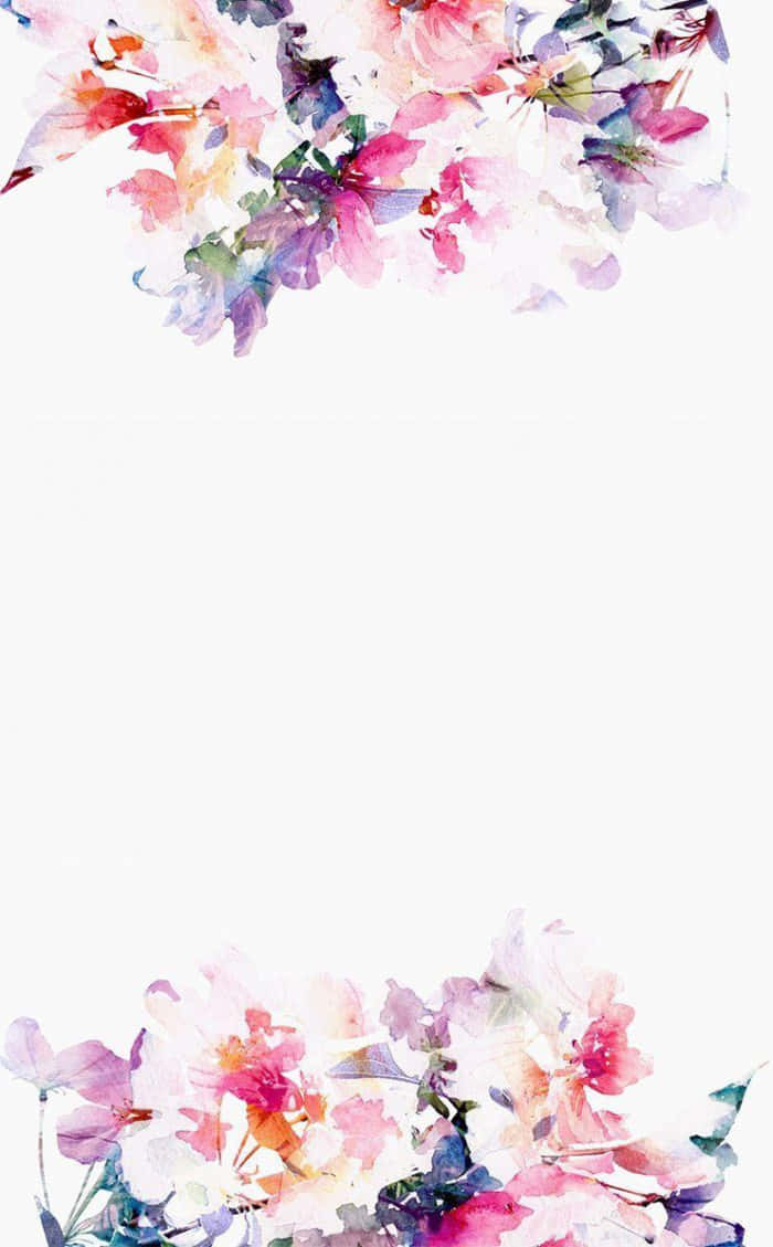 流動的光輝水彩傑作 壁紙 — 柔和粉紅、紫色和橙色的水彩花卉，點綴在潔白背景的頂部和底部。
