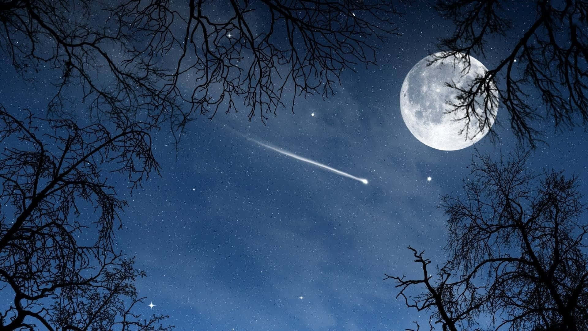 流星劃月夜空圖 壁紙 — 明亮的月亮和流星劃過由光禿樹枝框住的星空夜空。