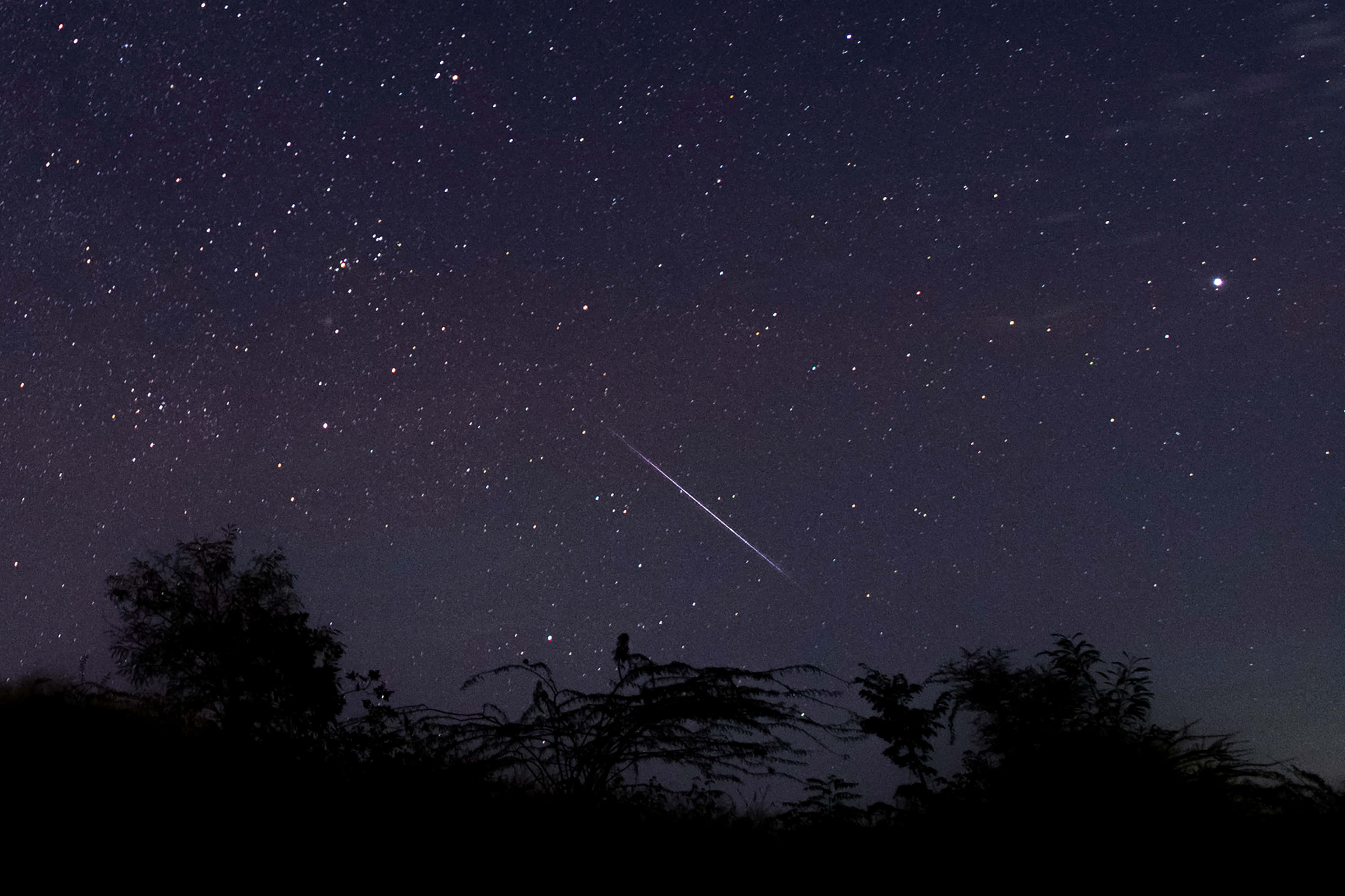 流星劃過夜空 壁紙 — 一顆明亮的流星劃過黑暗樹影上方的星空夜空。